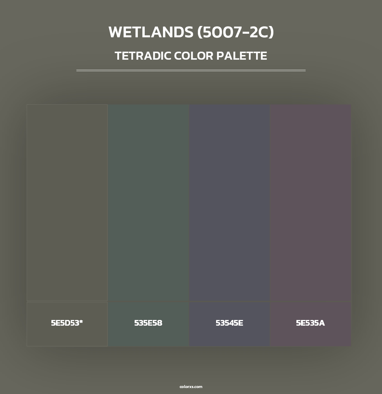 Wetlands (5007-2C) - Tetradic Color Palette