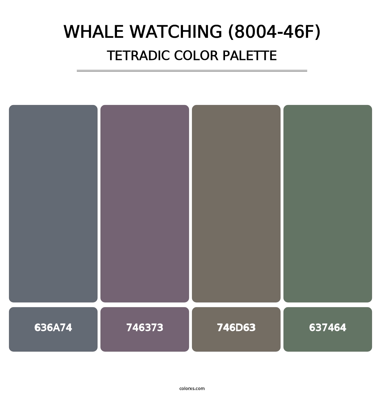Whale Watching (8004-46F) - Tetradic Color Palette