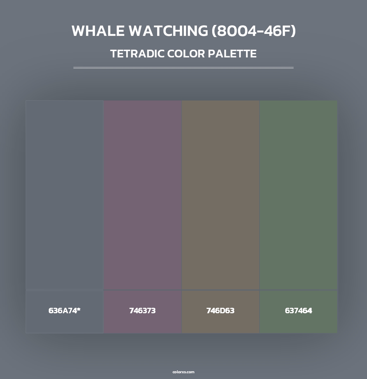 Whale Watching (8004-46F) - Tetradic Color Palette