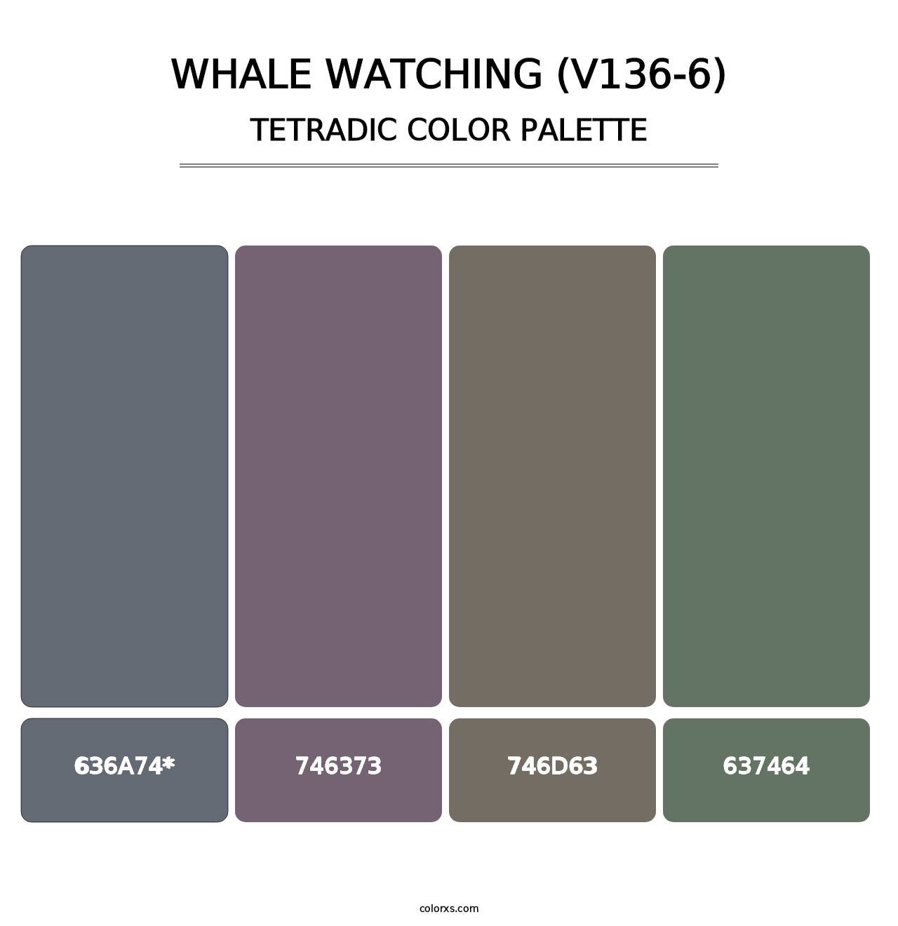 Whale Watching (V136-6) - Tetradic Color Palette
