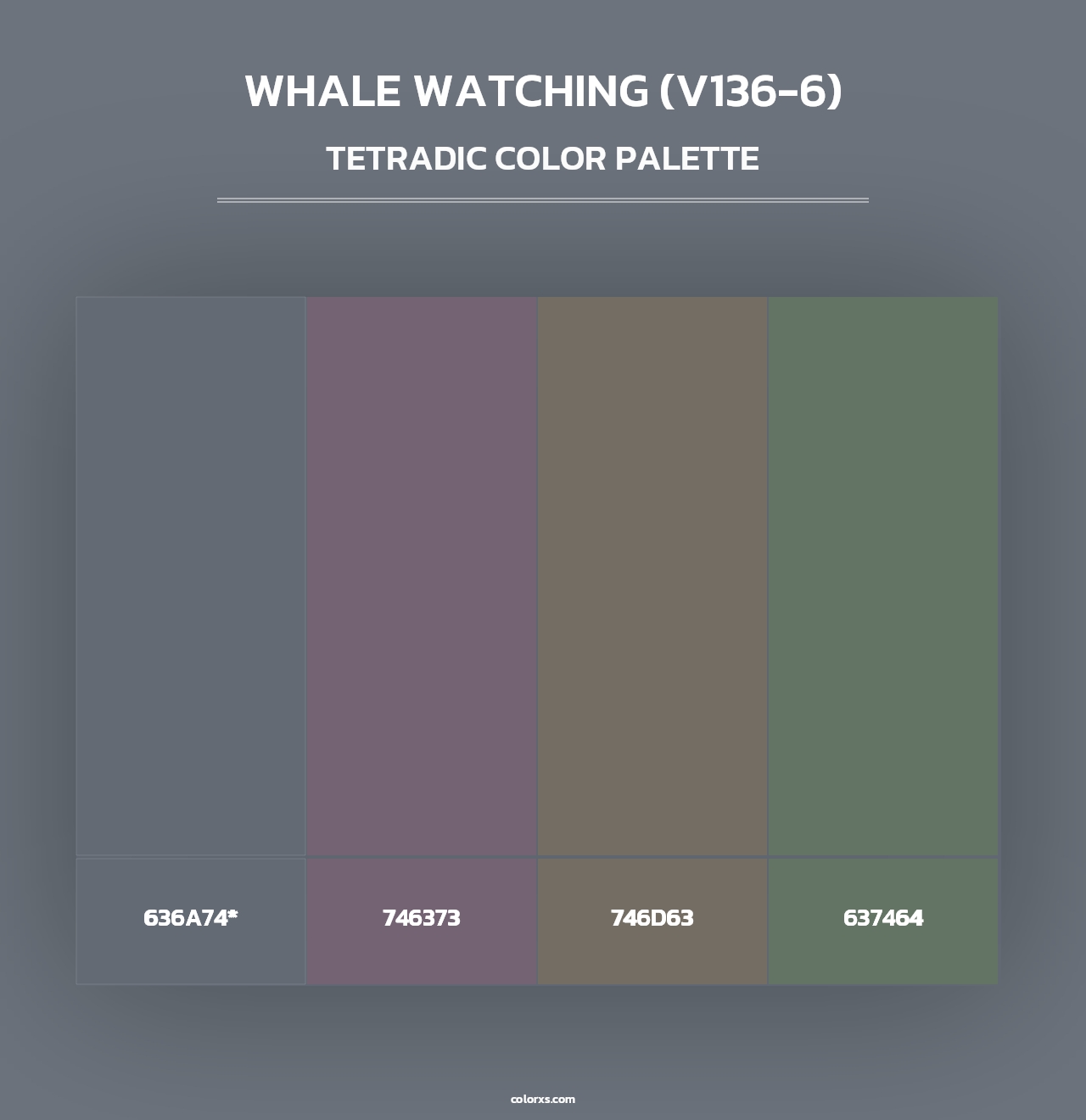 Whale Watching (V136-6) - Tetradic Color Palette