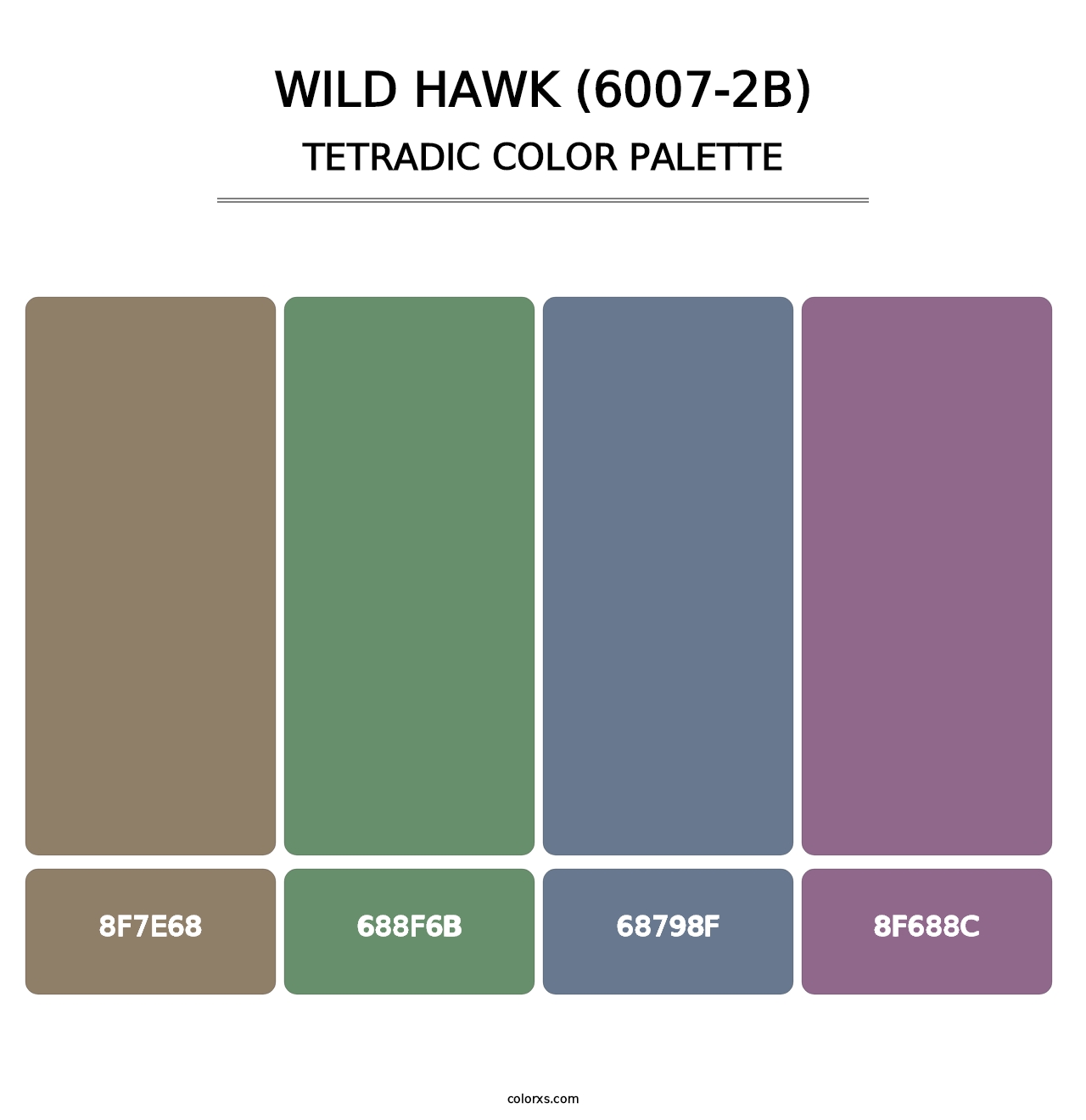 Wild Hawk (6007-2B) - Tetradic Color Palette