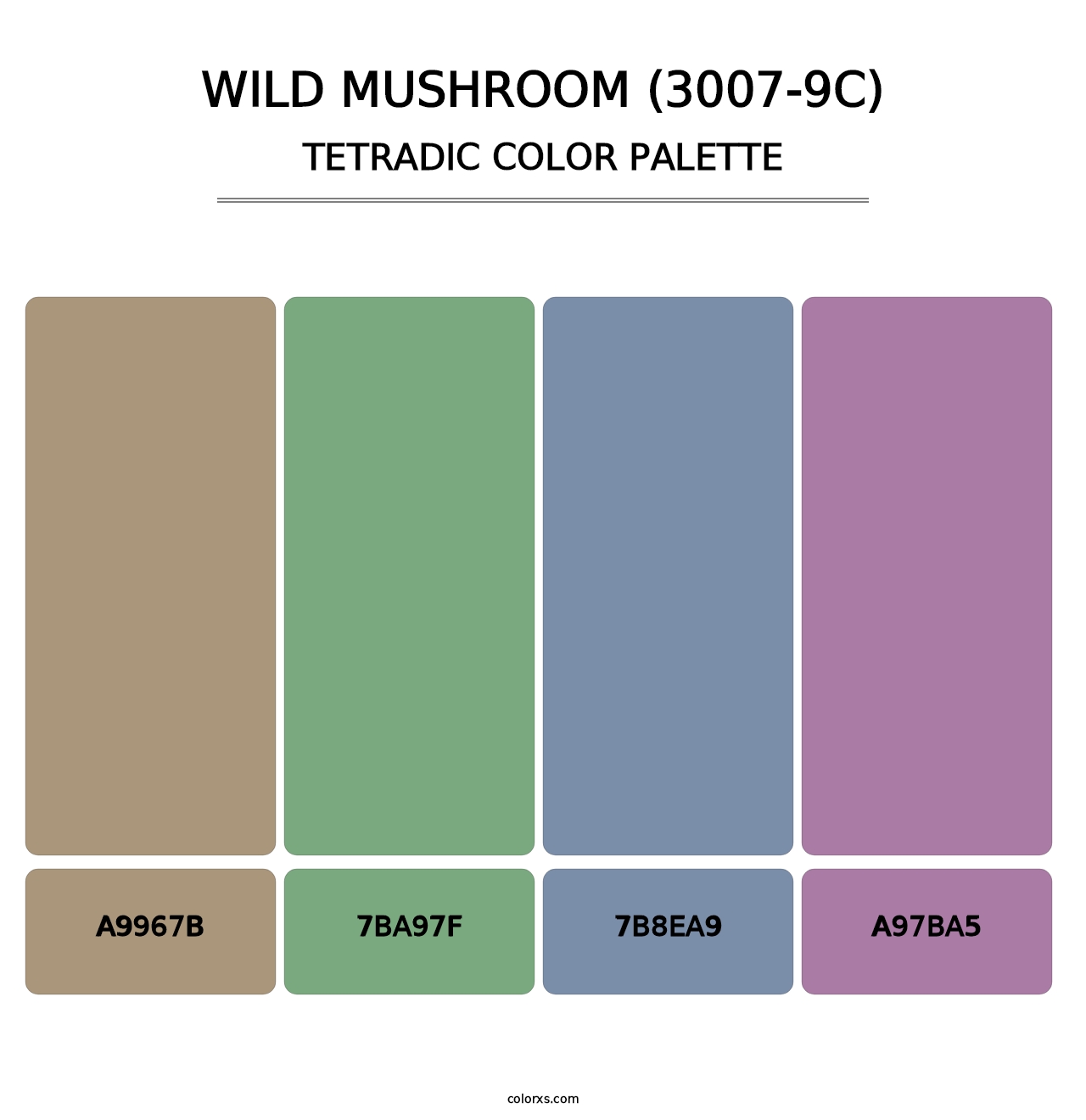Wild Mushroom (3007-9C) - Tetradic Color Palette