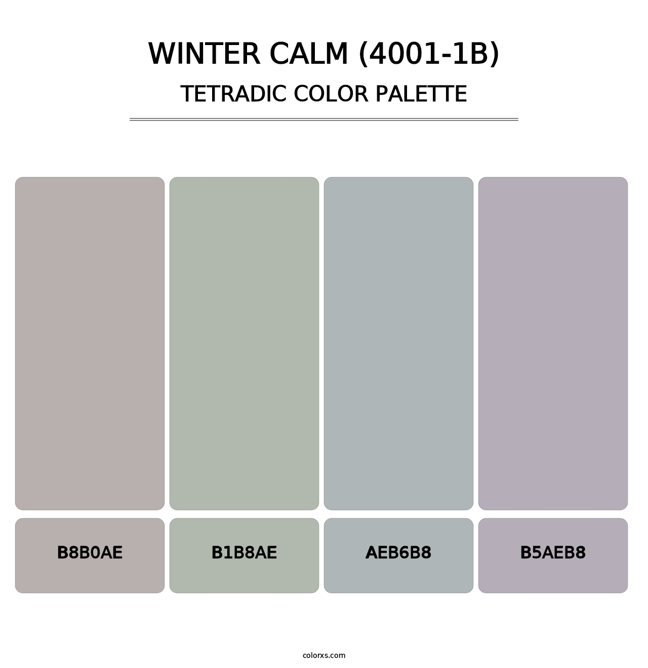 Winter Calm (4001-1B) - Tetradic Color Palette