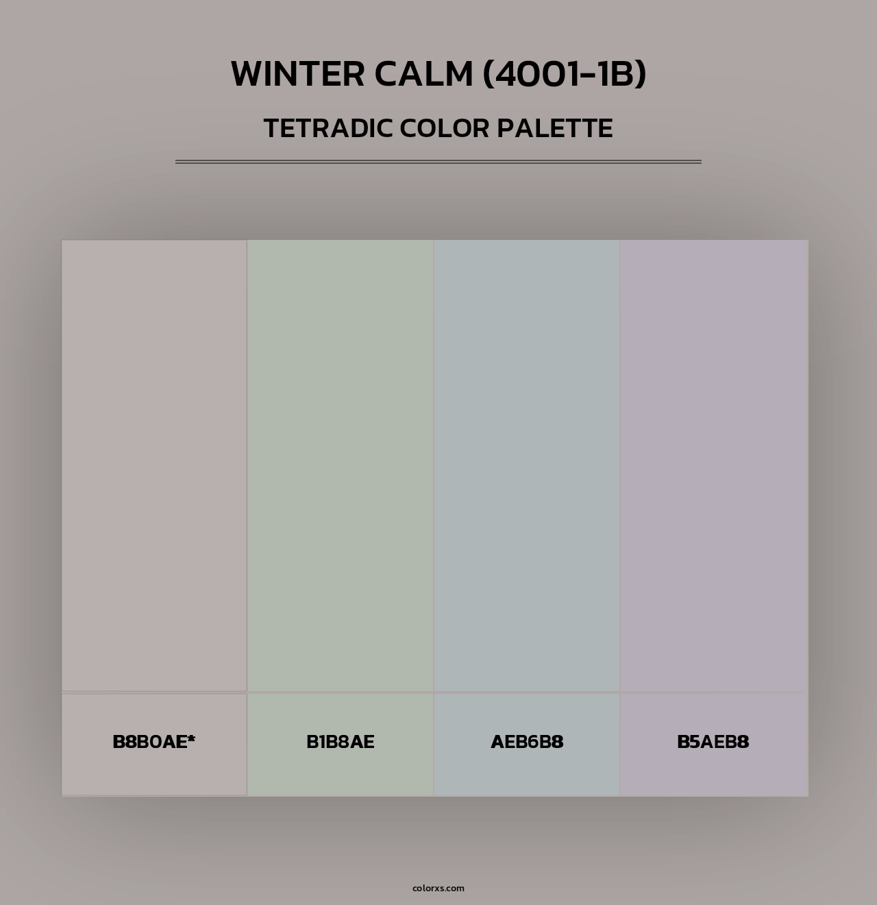 Winter Calm (4001-1B) - Tetradic Color Palette