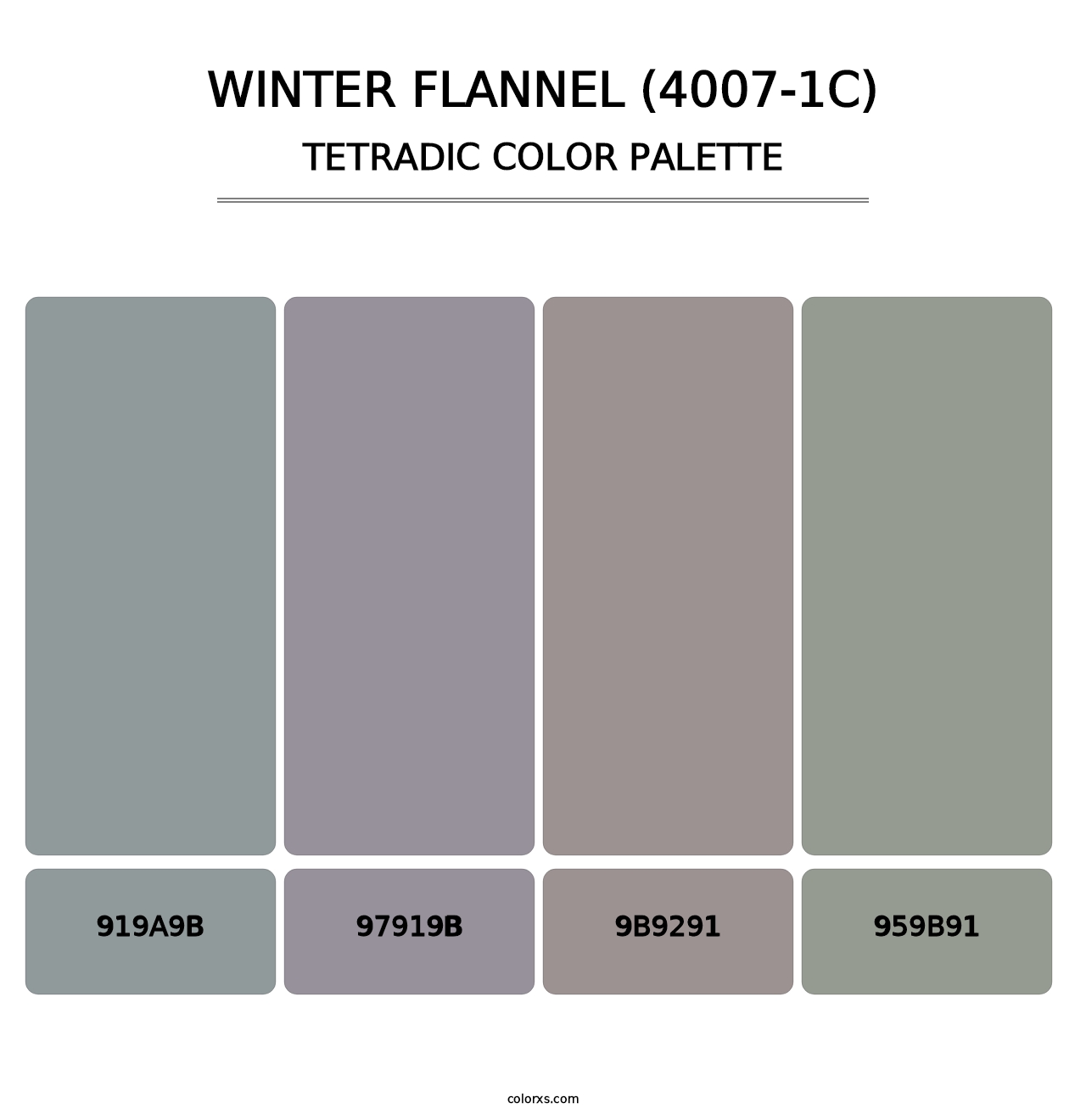 Winter Flannel (4007-1C) - Tetradic Color Palette