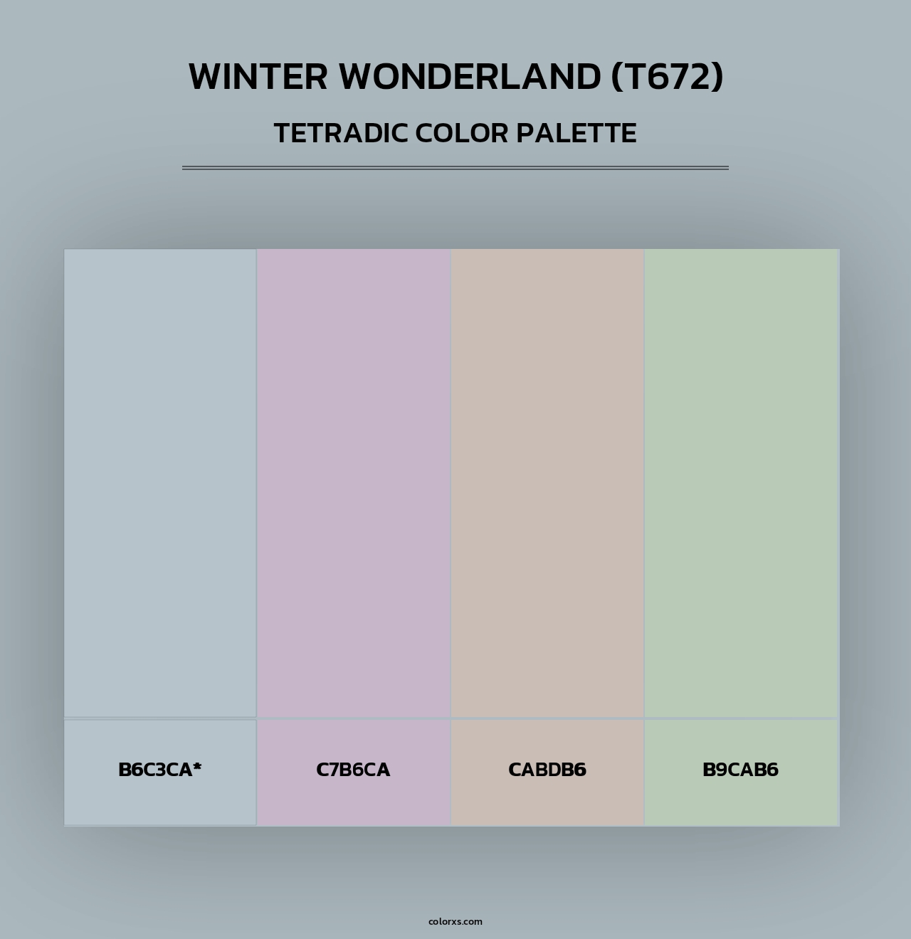 Winter Wonderland (T672) - Tetradic Color Palette