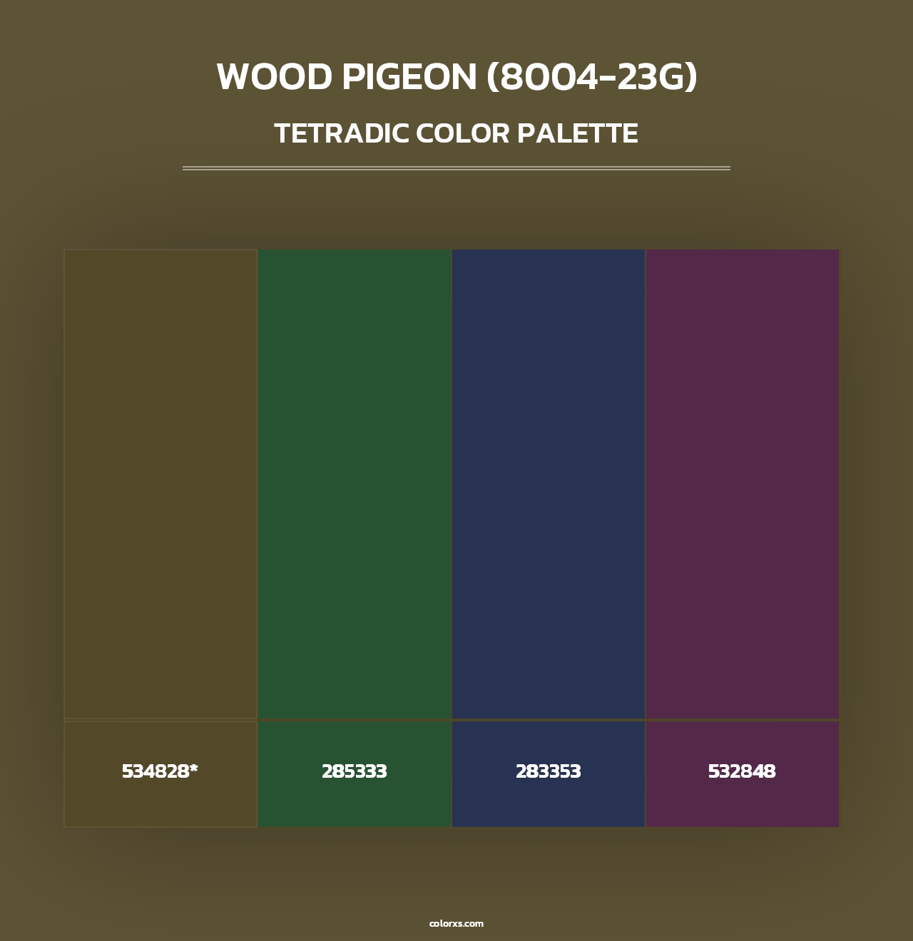 Wood Pigeon (8004-23G) - Tetradic Color Palette