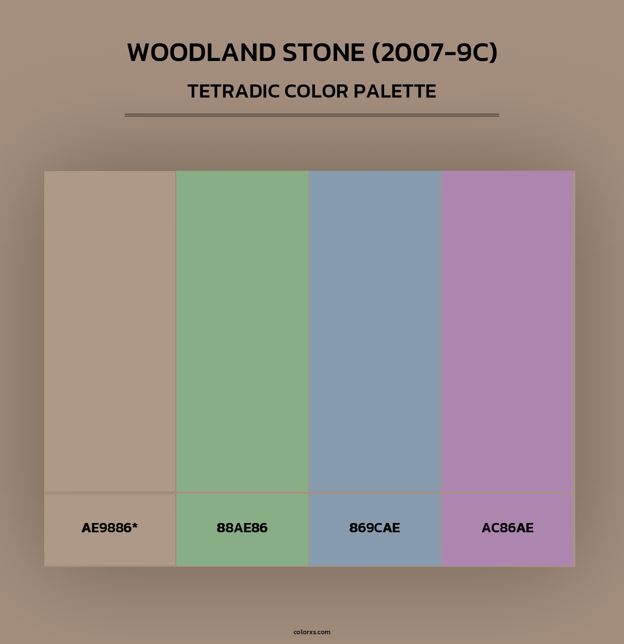 Woodland Stone (2007-9C) - Tetradic Color Palette