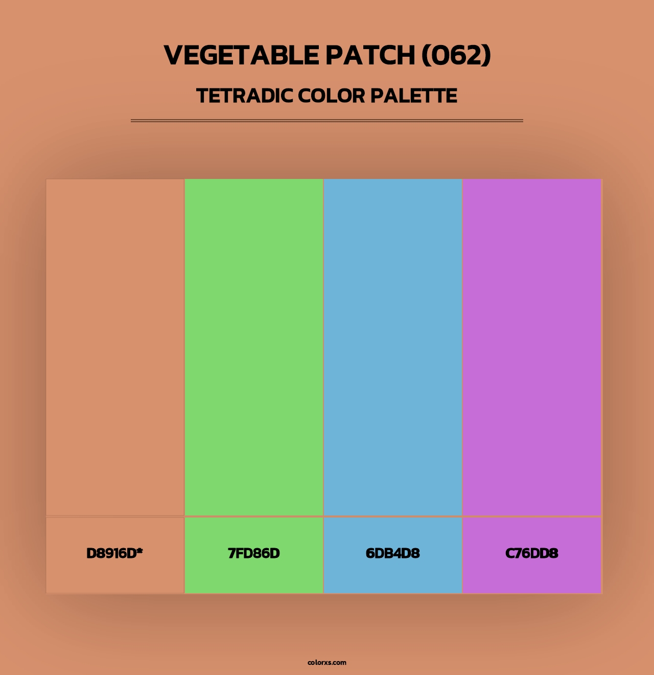 Vegetable Patch (062) - Tetradic Color Palette