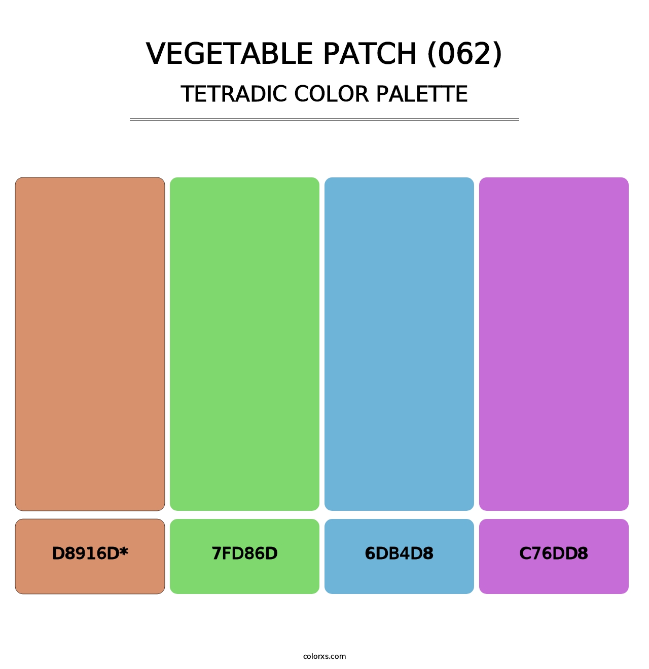 Vegetable Patch (062) - Tetradic Color Palette