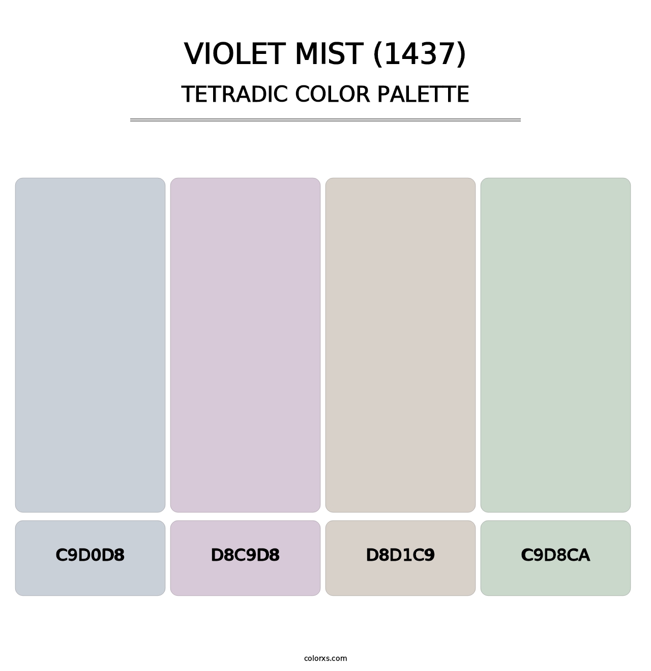 Violet Mist (1437) - Tetradic Color Palette