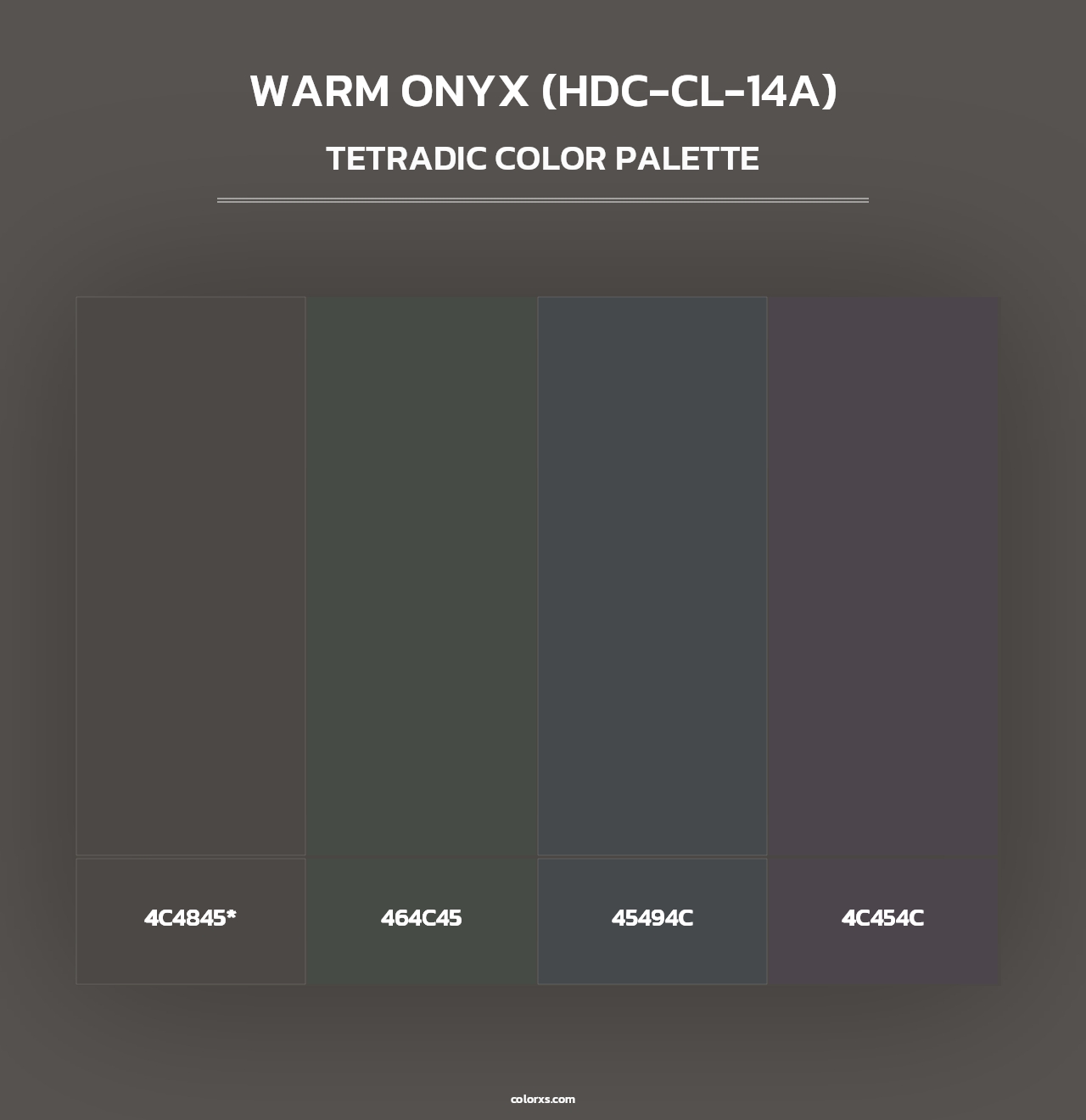 Warm Onyx (HDC-CL-14A) - Tetradic Color Palette