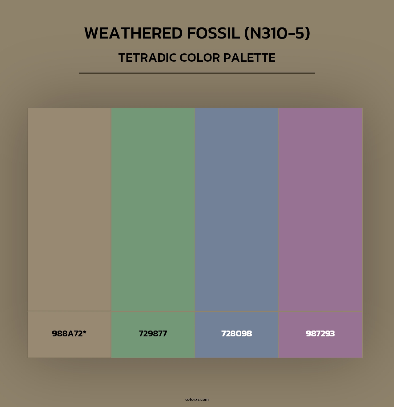 Weathered Fossil (N310-5) - Tetradic Color Palette