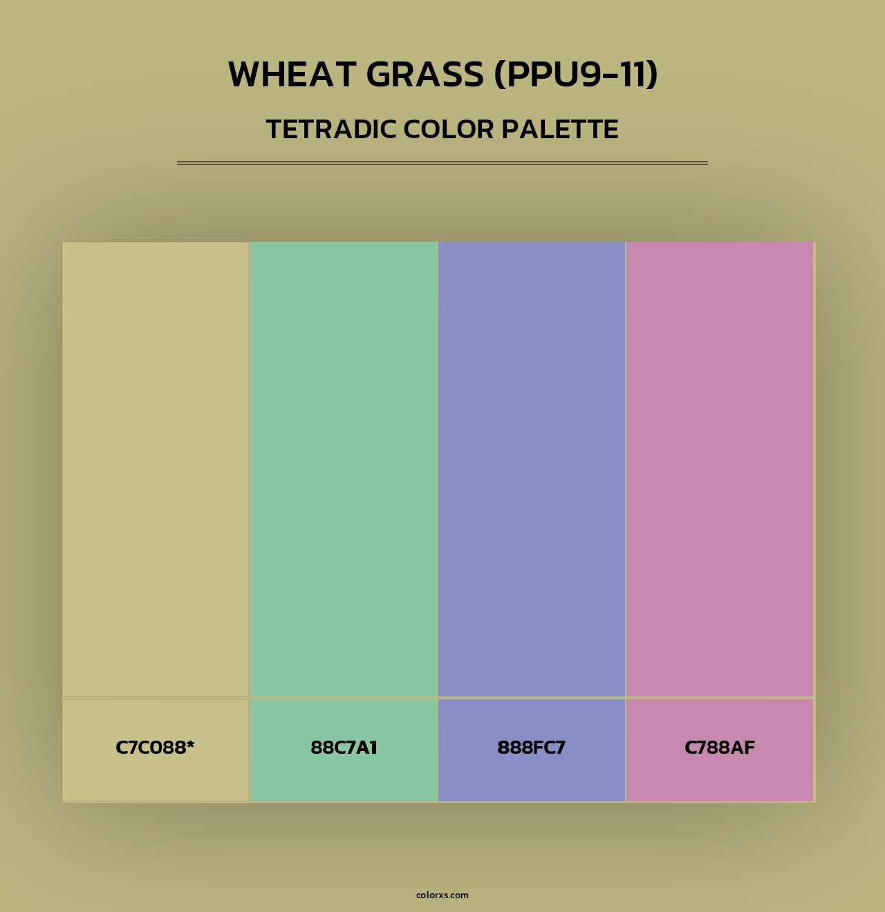 Wheat Grass (PPU9-11) - Tetradic Color Palette