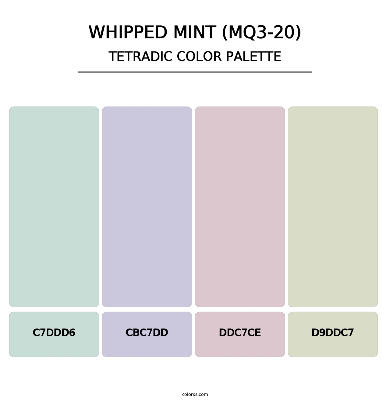 Whipped Mint (MQ3-20) - Tetradic Color Palette