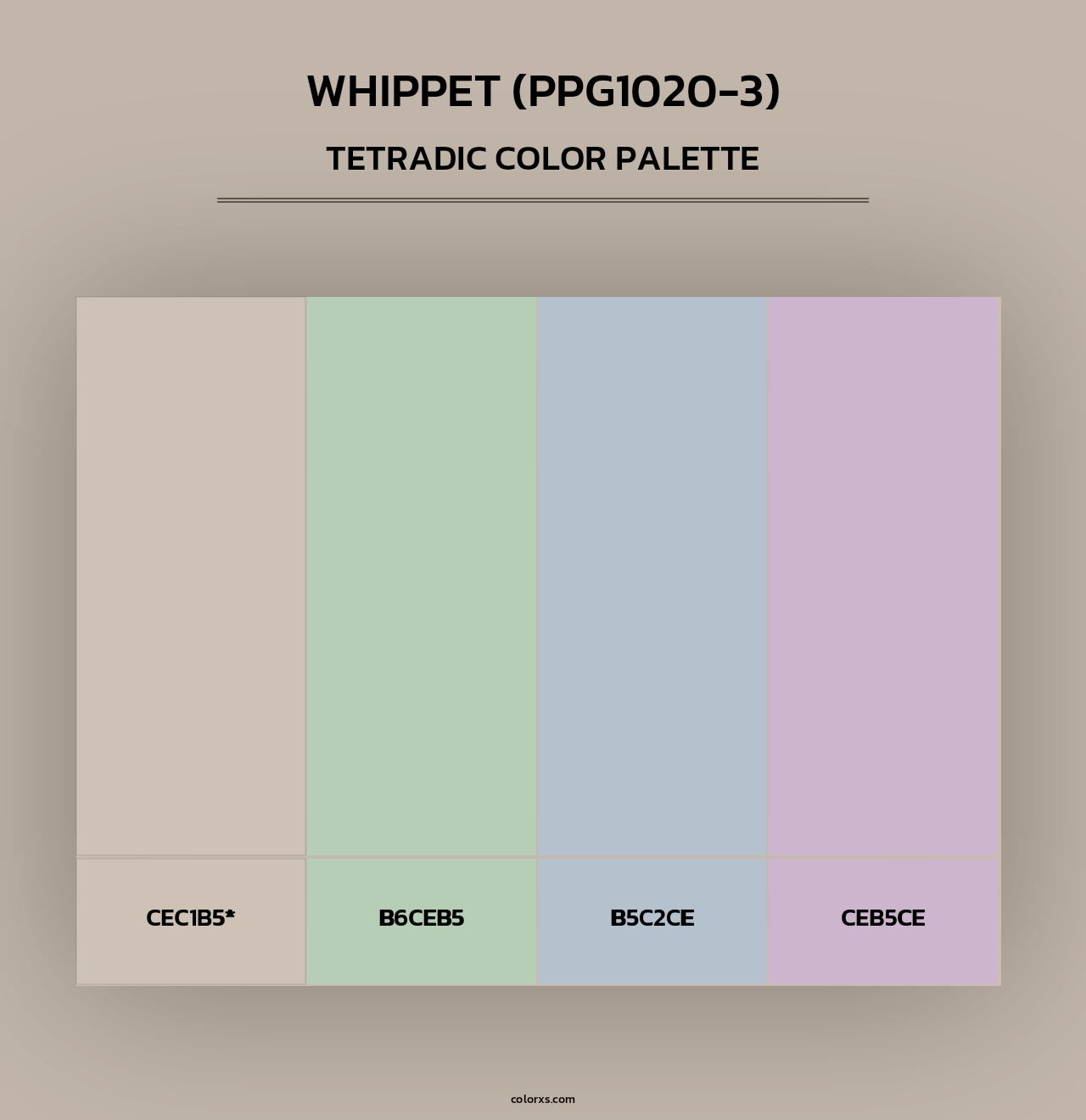 Whippet (PPG1020-3) - Tetradic Color Palette