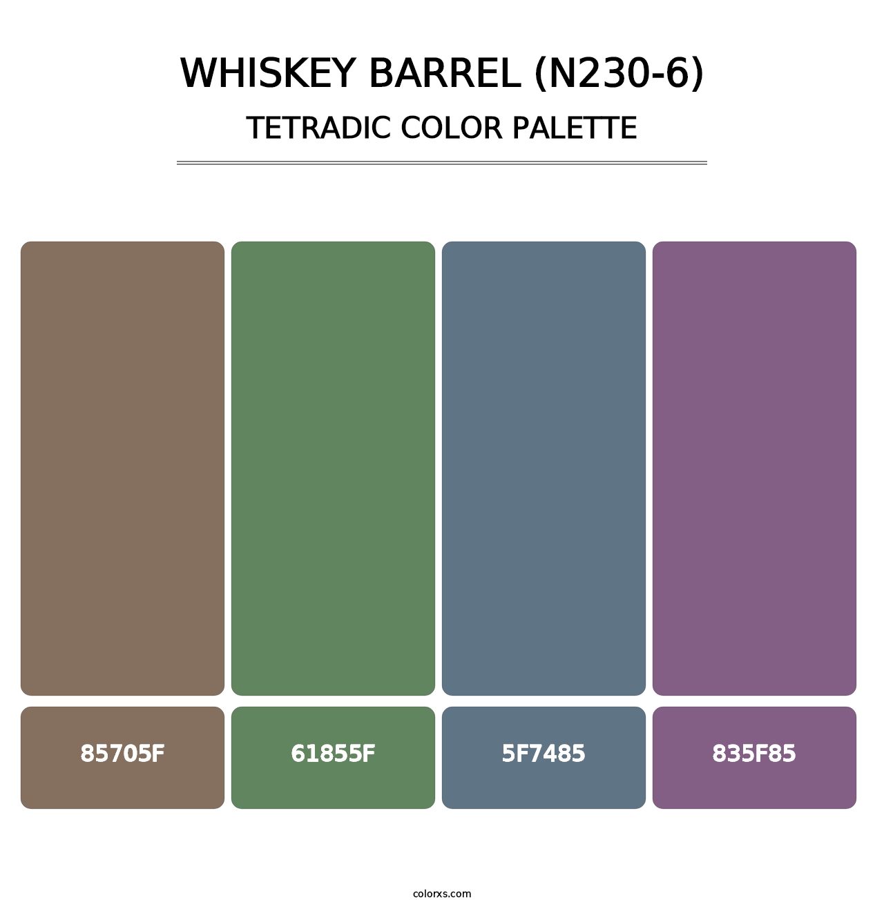 Whiskey Barrel (N230-6) - Tetradic Color Palette