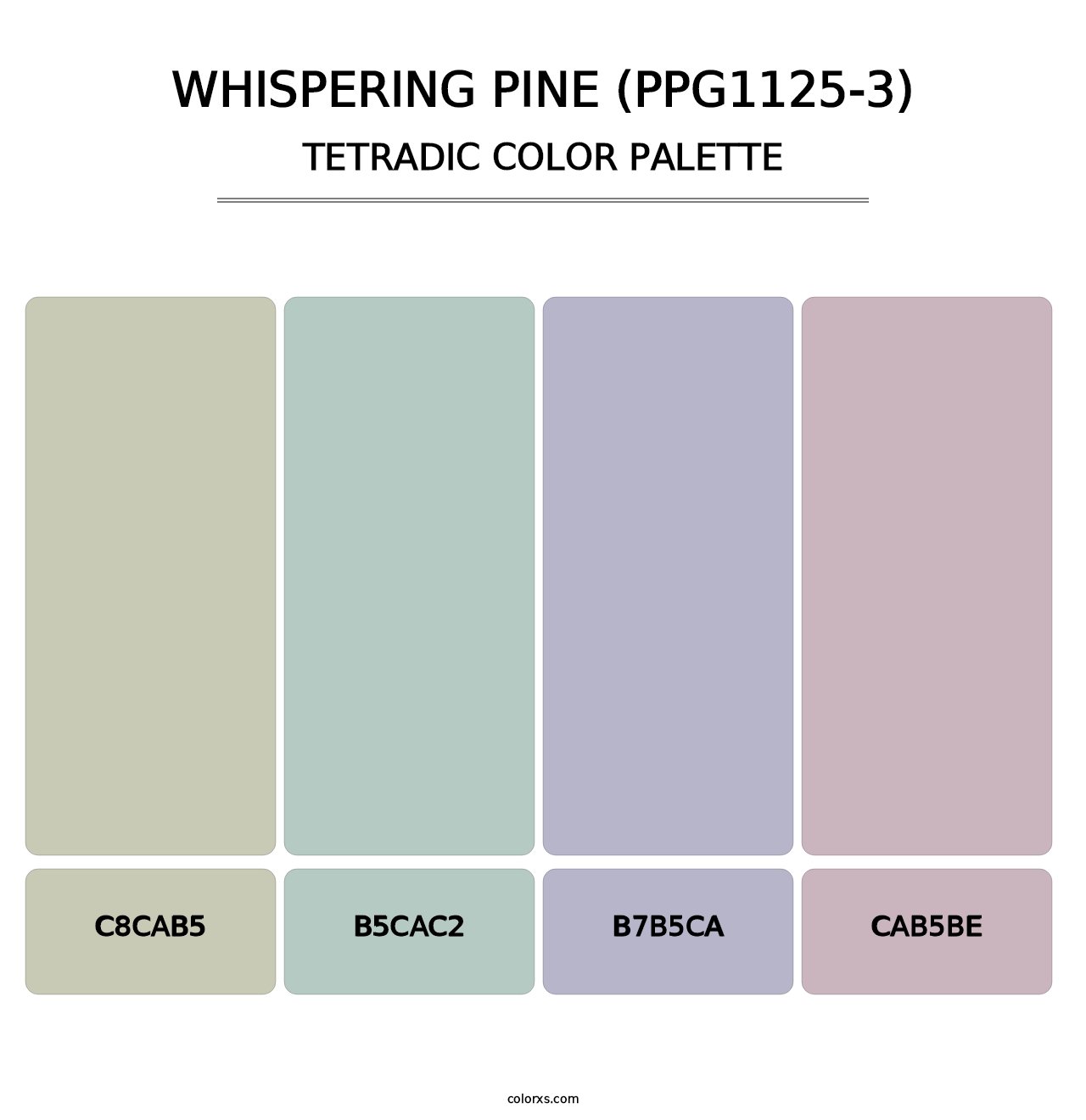 Whispering Pine (PPG1125-3) - Tetradic Color Palette