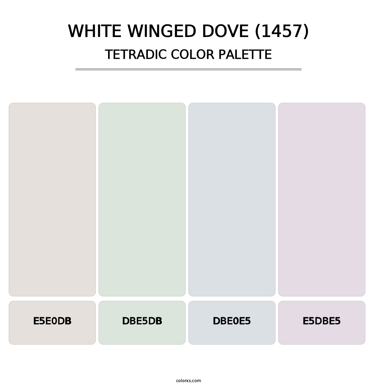 White Winged Dove (1457) - Tetradic Color Palette