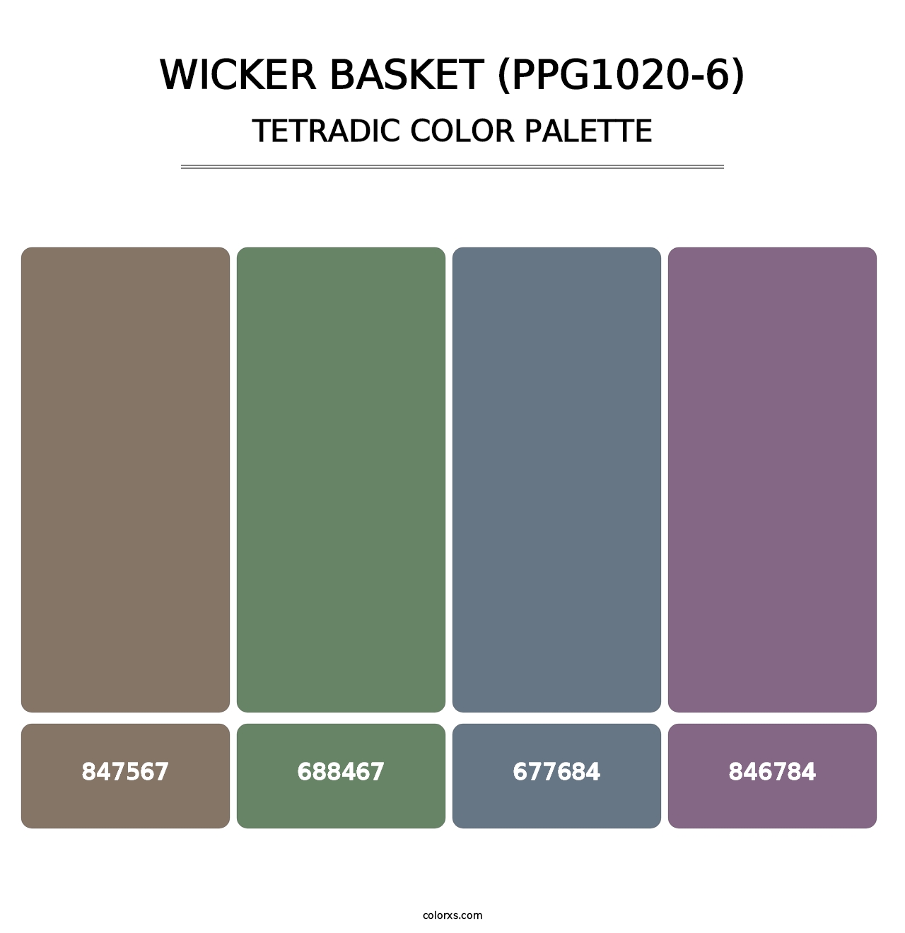 Wicker Basket (PPG1020-6) - Tetradic Color Palette