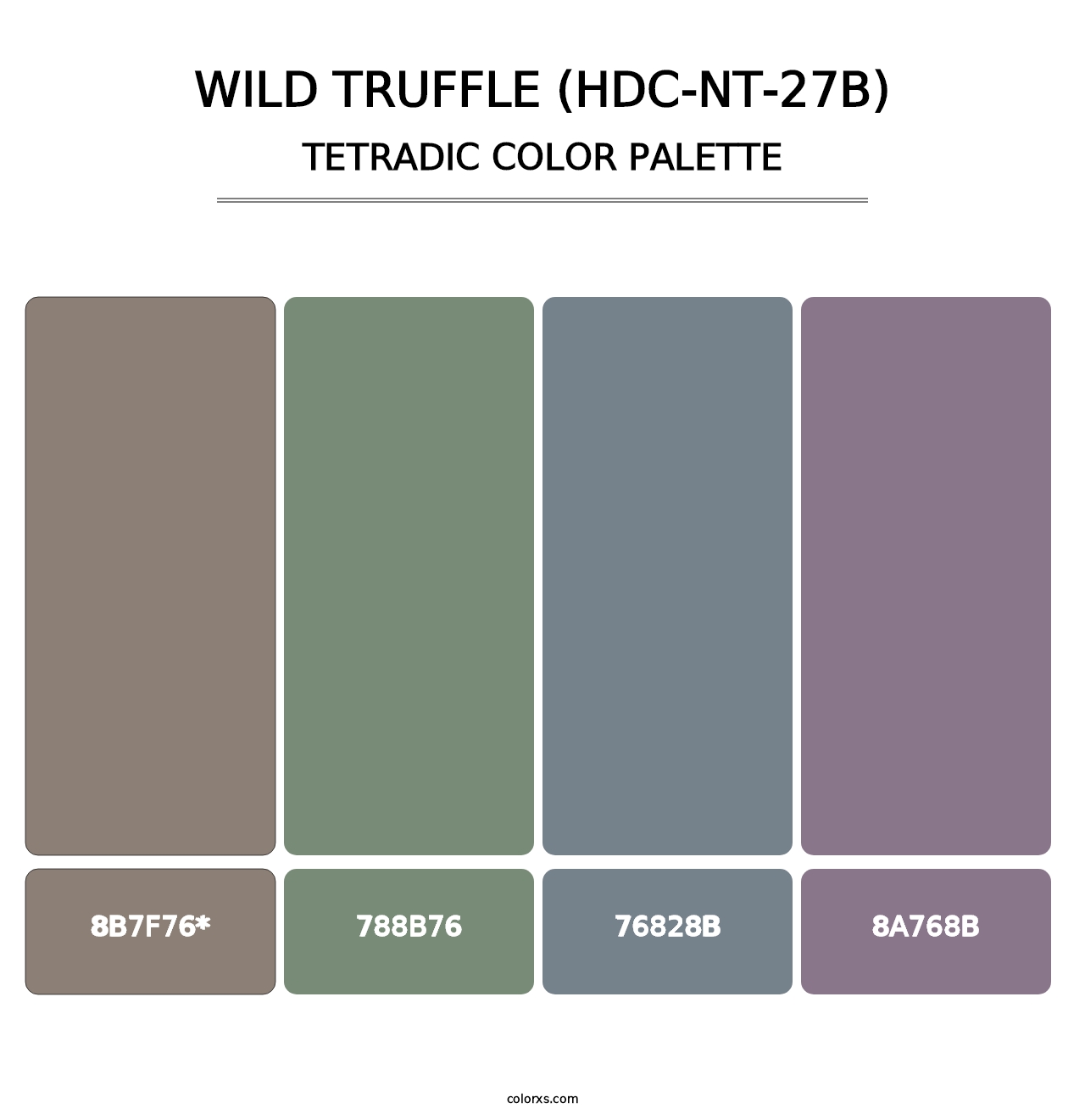 Wild Truffle (HDC-NT-27B) - Tetradic Color Palette