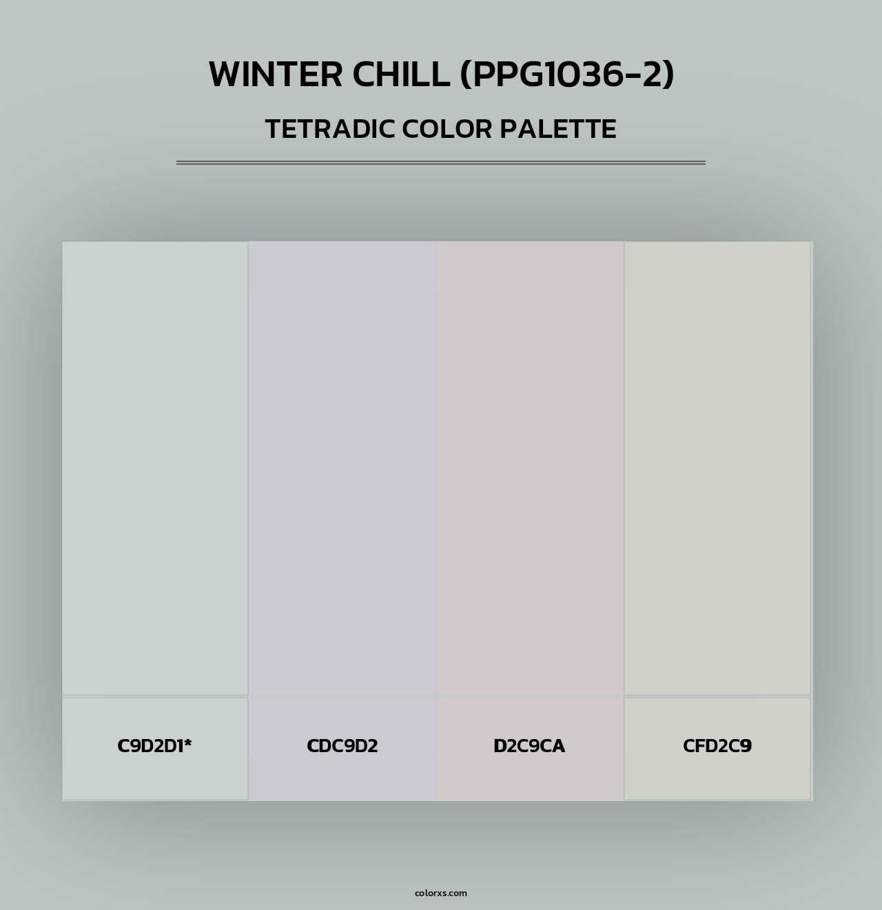 Winter Chill (PPG1036-2) - Tetradic Color Palette