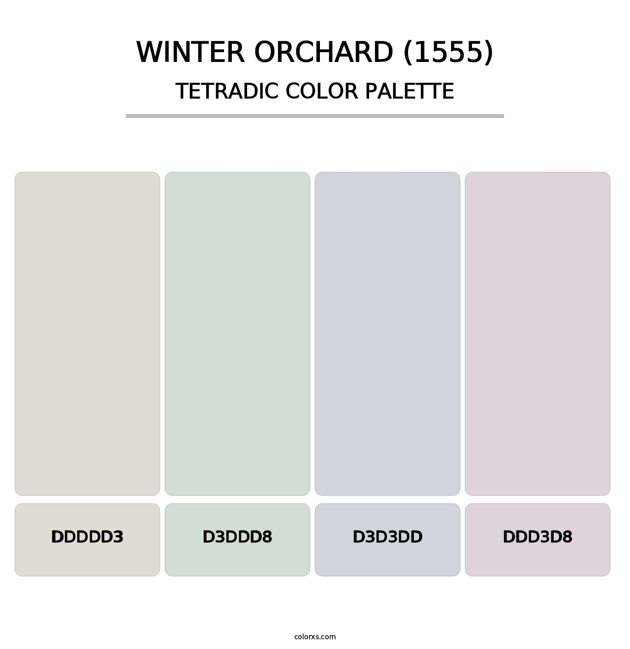 Winter Orchard (1555) - Tetradic Color Palette