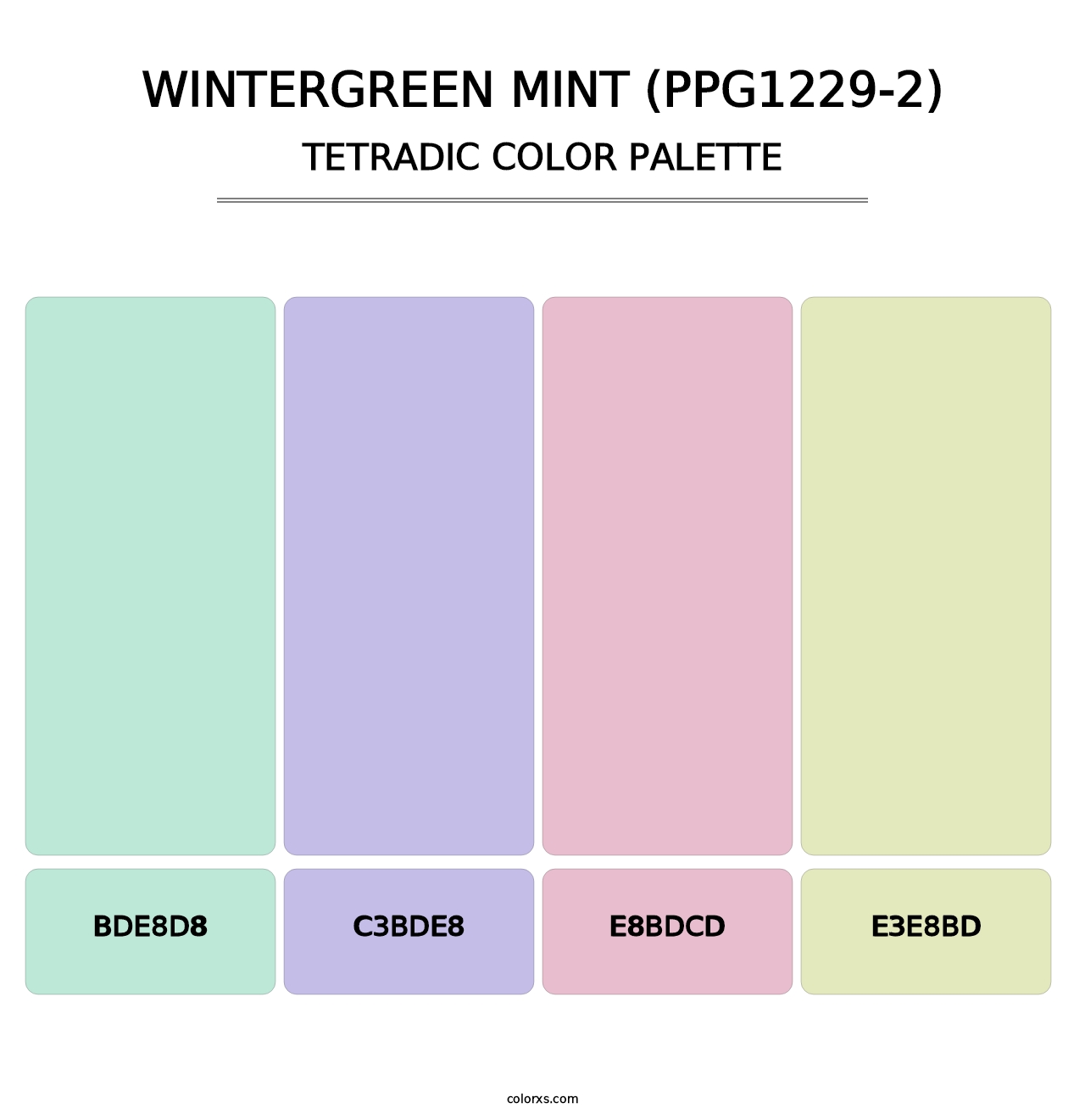 Wintergreen Mint (PPG1229-2) - Tetradic Color Palette