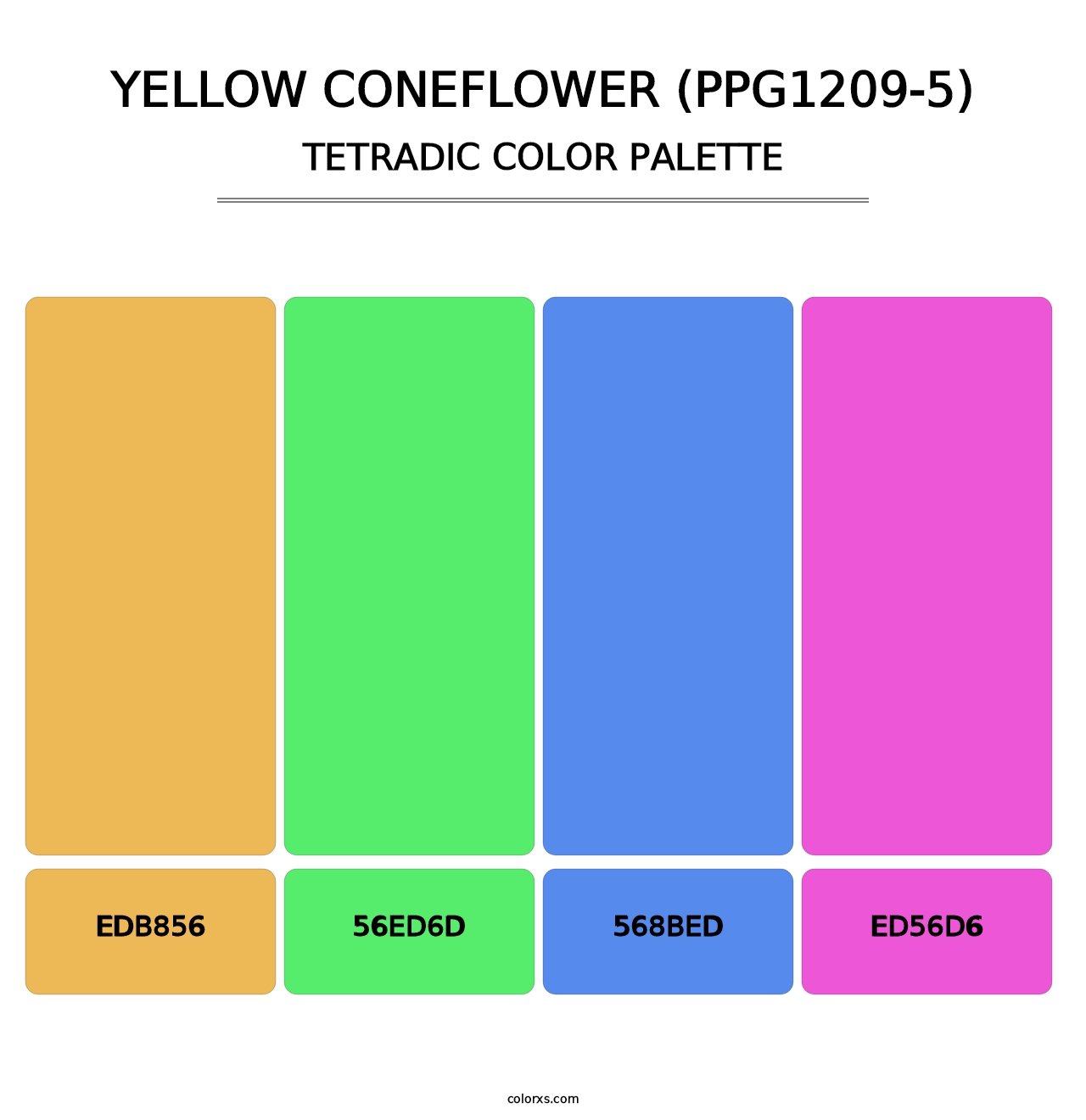 Yellow Coneflower (PPG1209-5) - Tetradic Color Palette