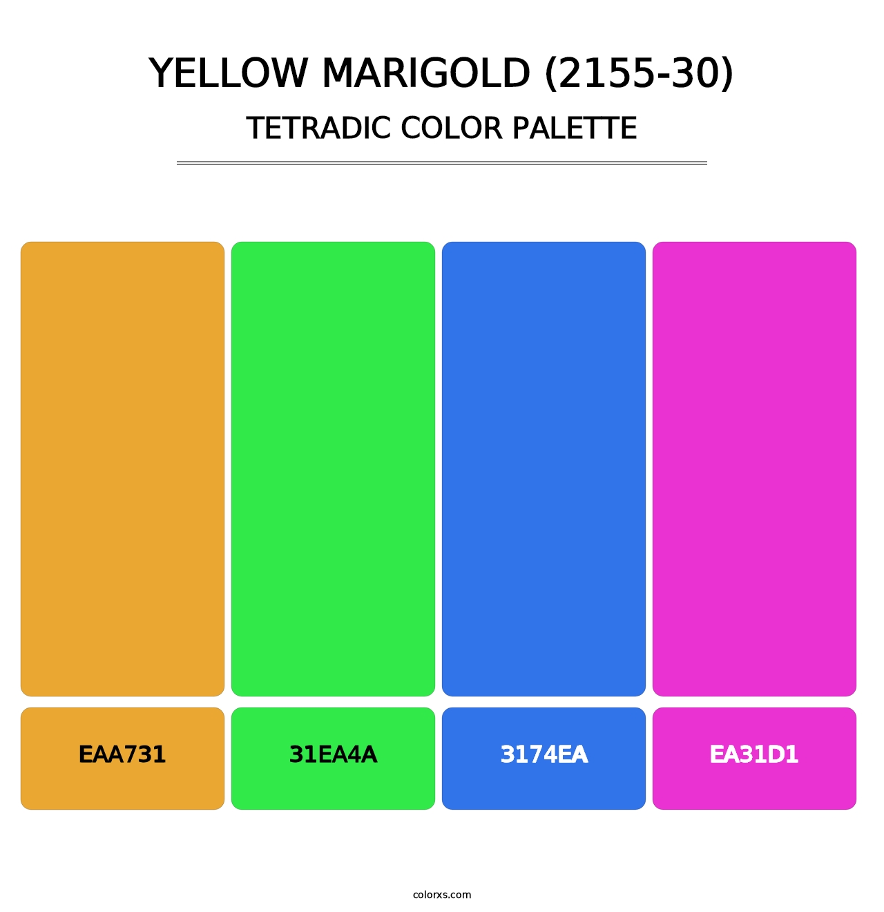 Yellow Marigold (2155-30) - Tetradic Color Palette