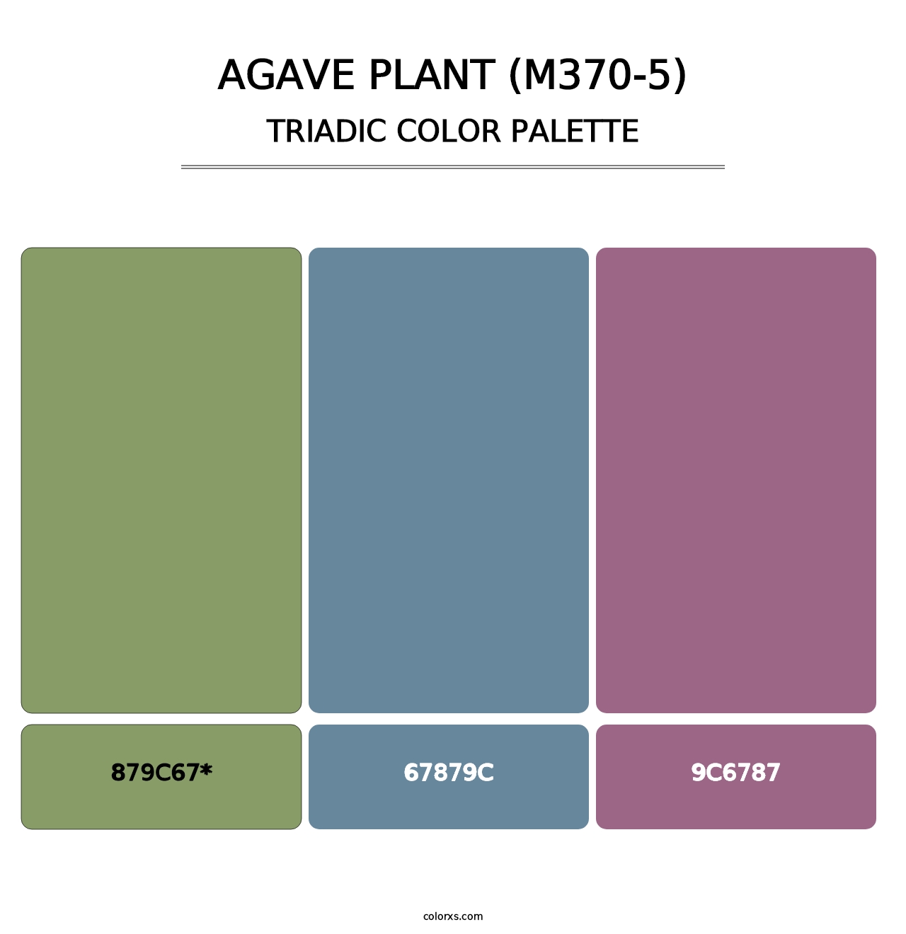 Agave Plant (M370-5) - Triadic Color Palette