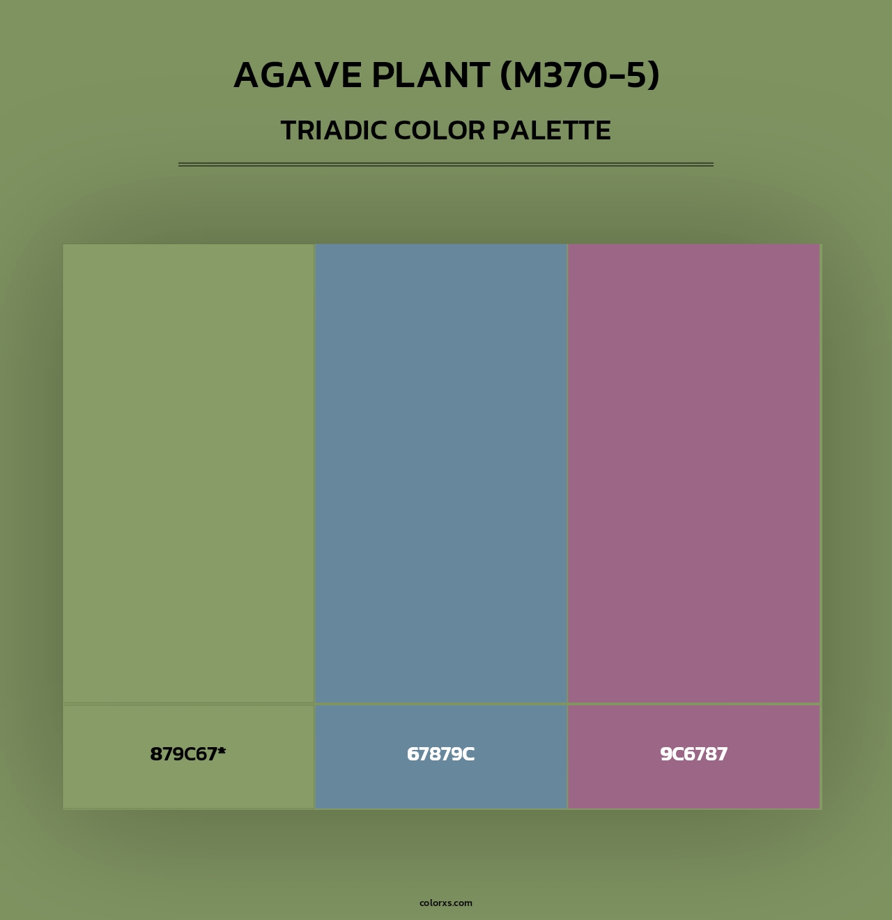 Agave Plant (M370-5) - Triadic Color Palette