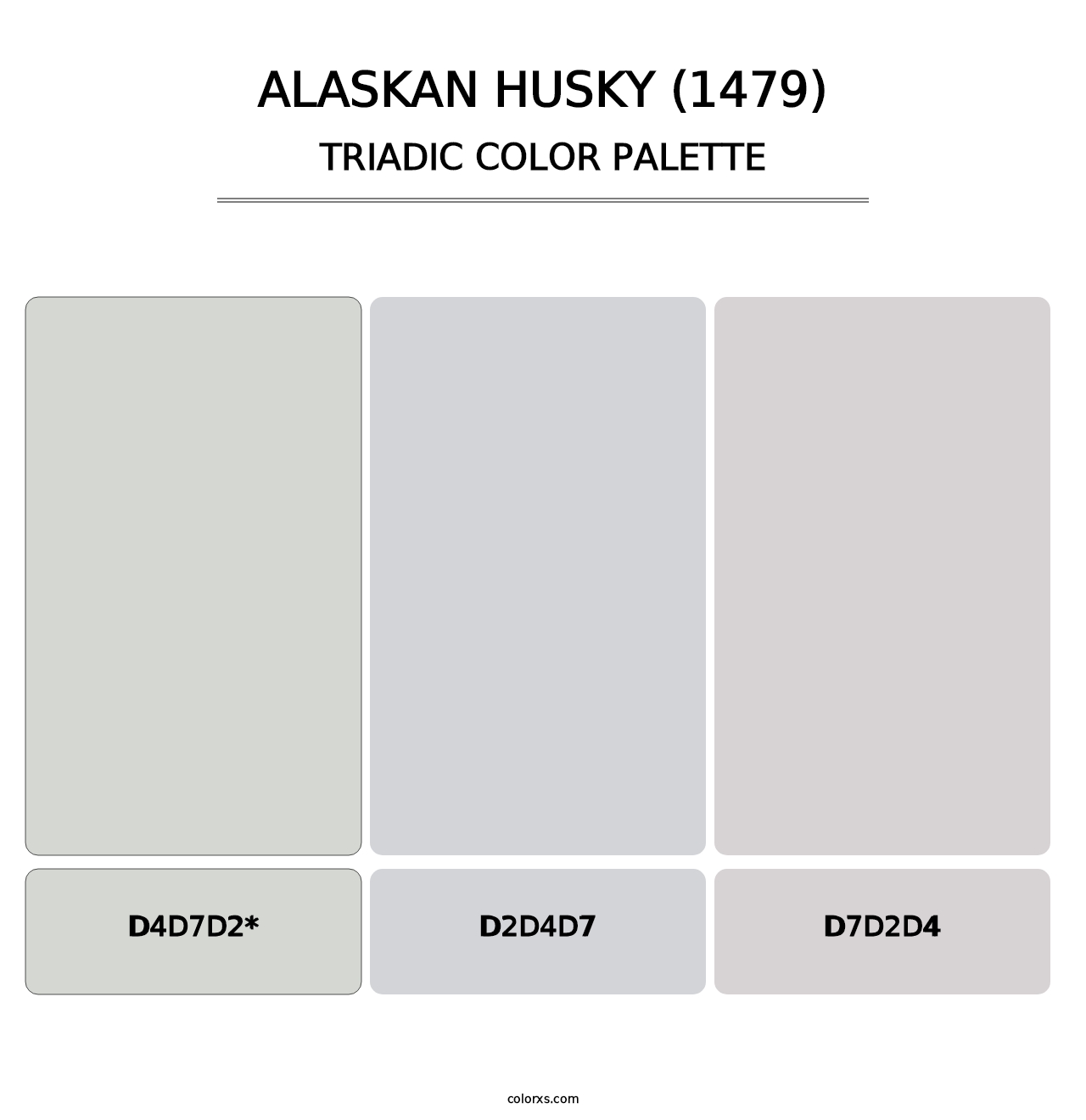 Alaskan Husky (1479) - Triadic Color Palette