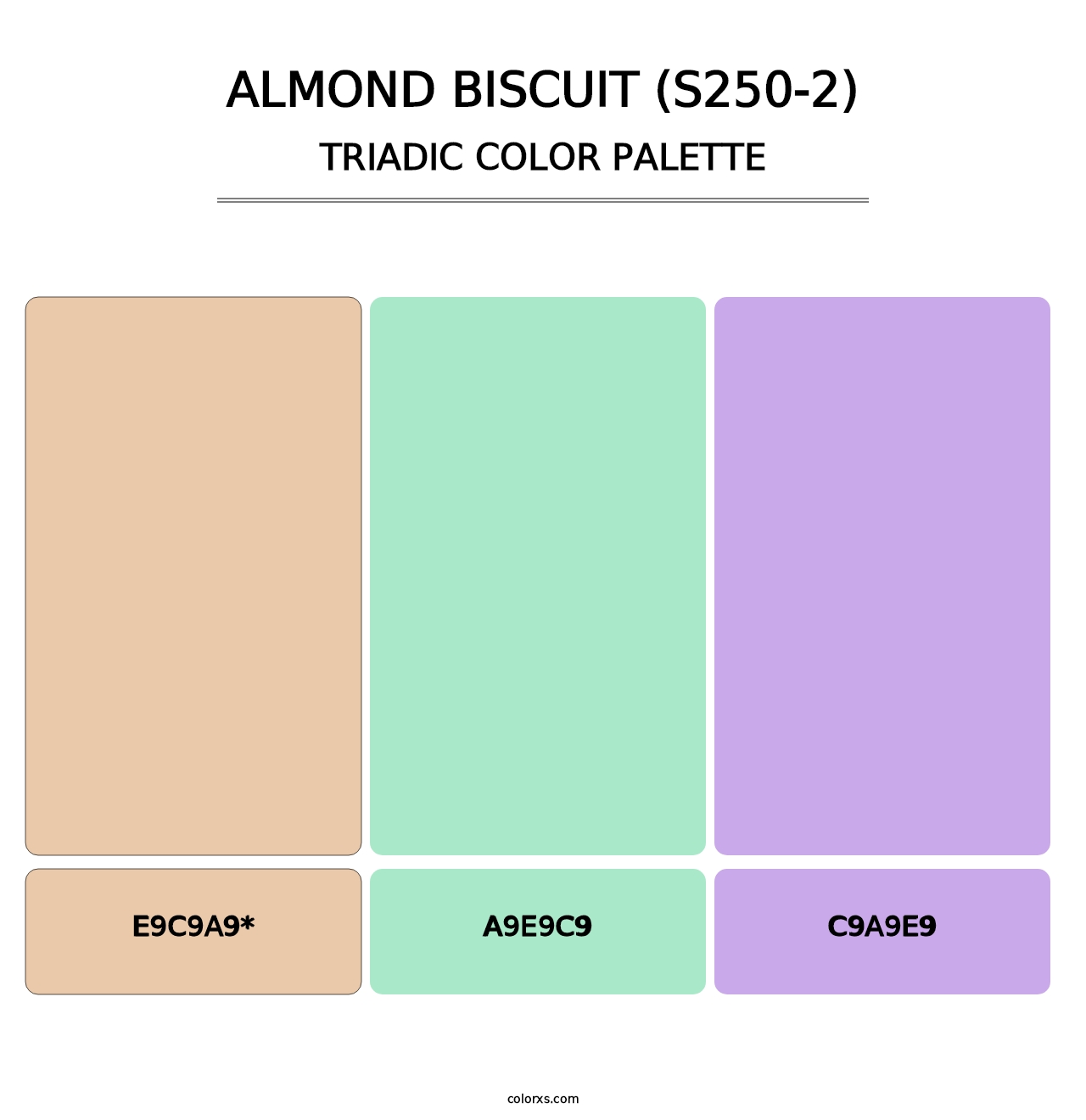 Almond Biscuit (S250-2) - Triadic Color Palette