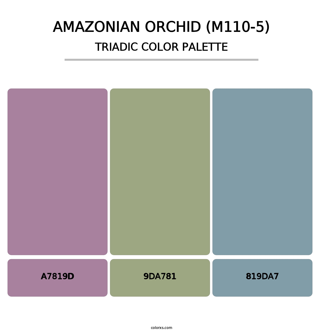 Amazonian Orchid (M110-5) - Triadic Color Palette