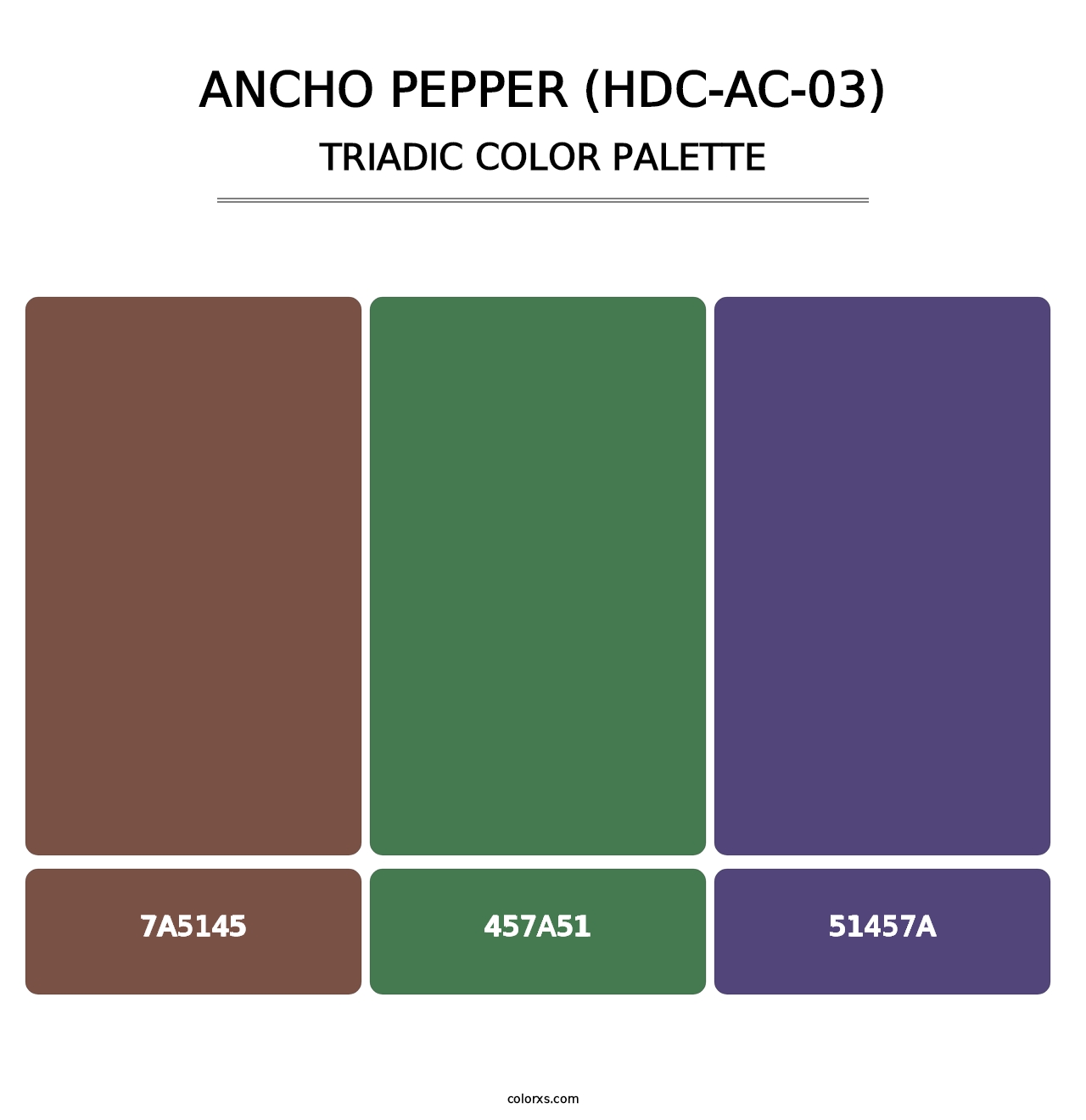 Ancho Pepper (HDC-AC-03) - Triadic Color Palette