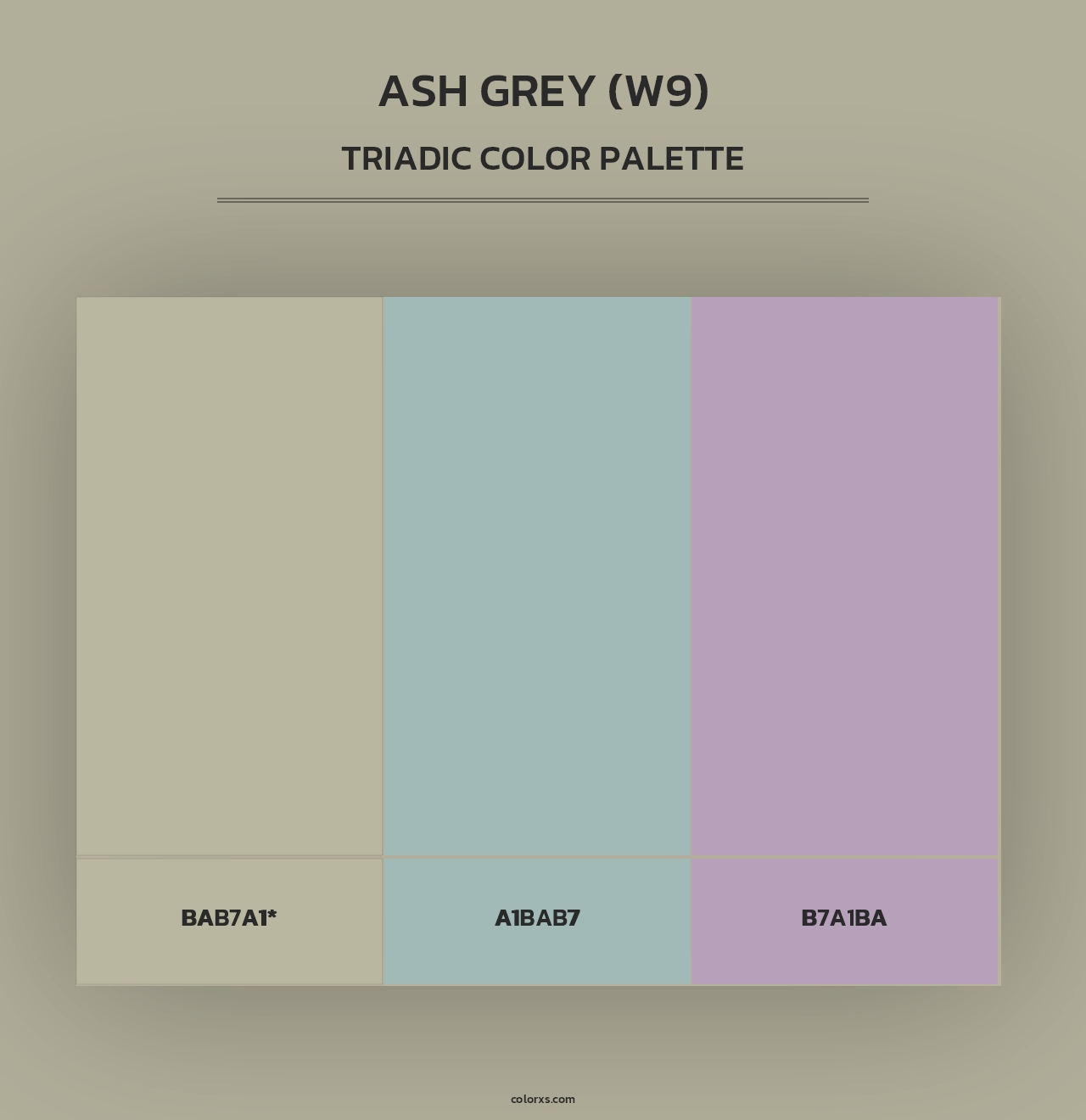 Ash Grey (W9) - Triadic Color Palette