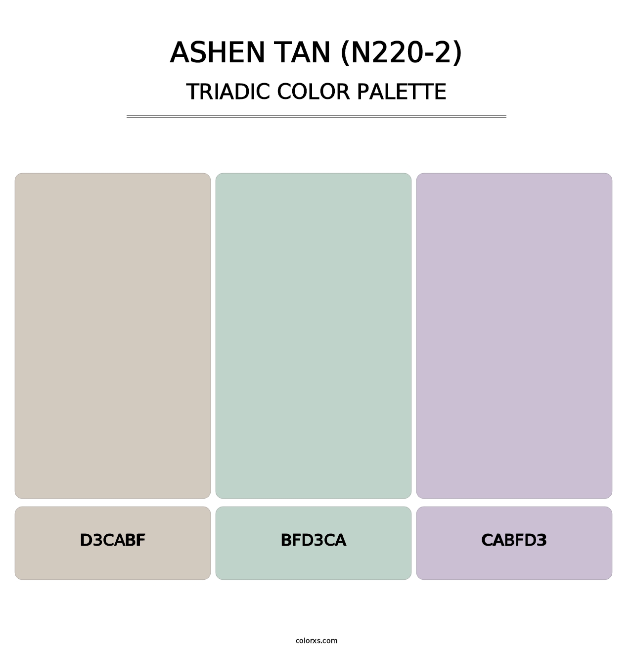 Ashen Tan (N220-2) - Triadic Color Palette