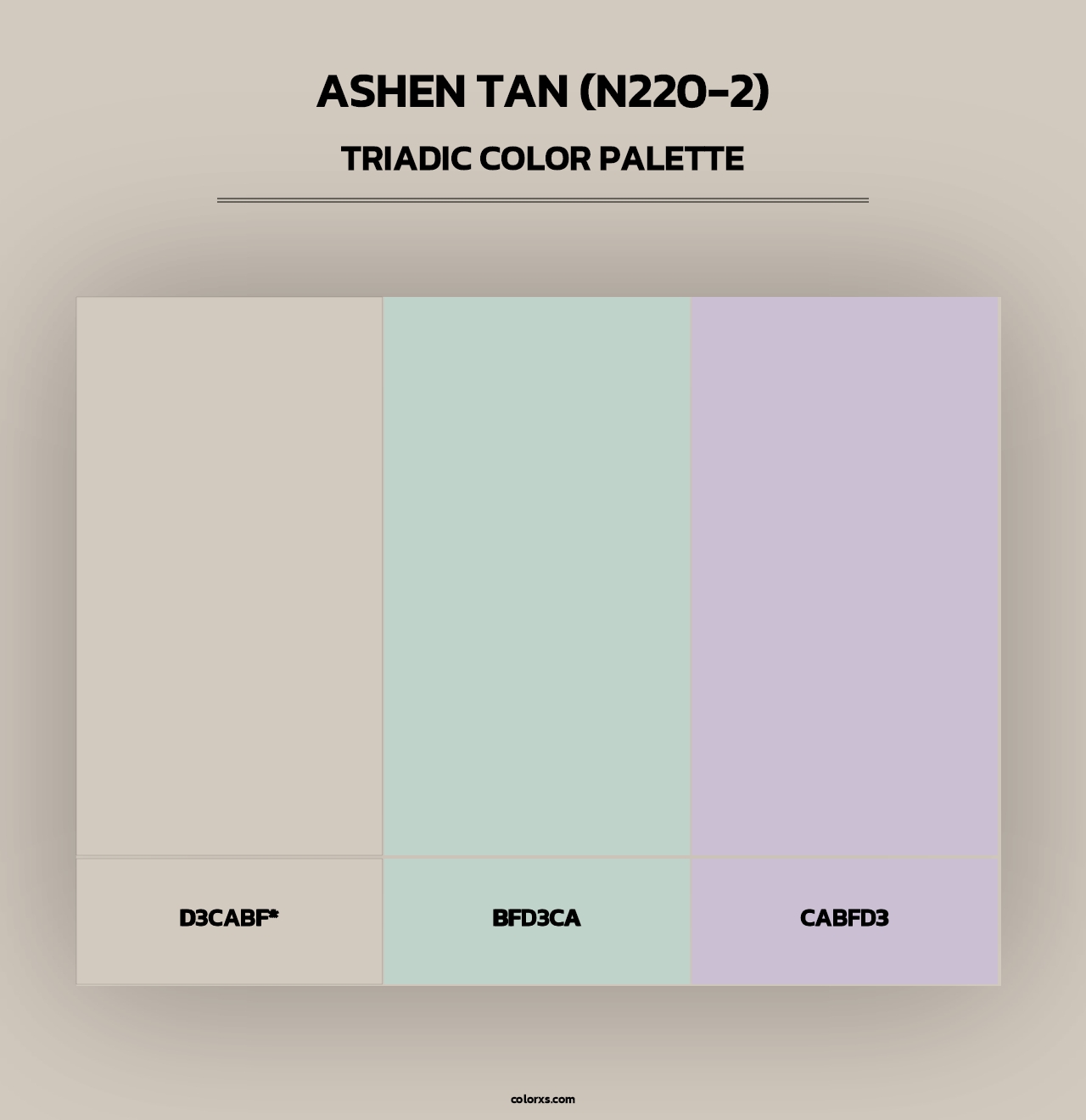 Ashen Tan (N220-2) - Triadic Color Palette