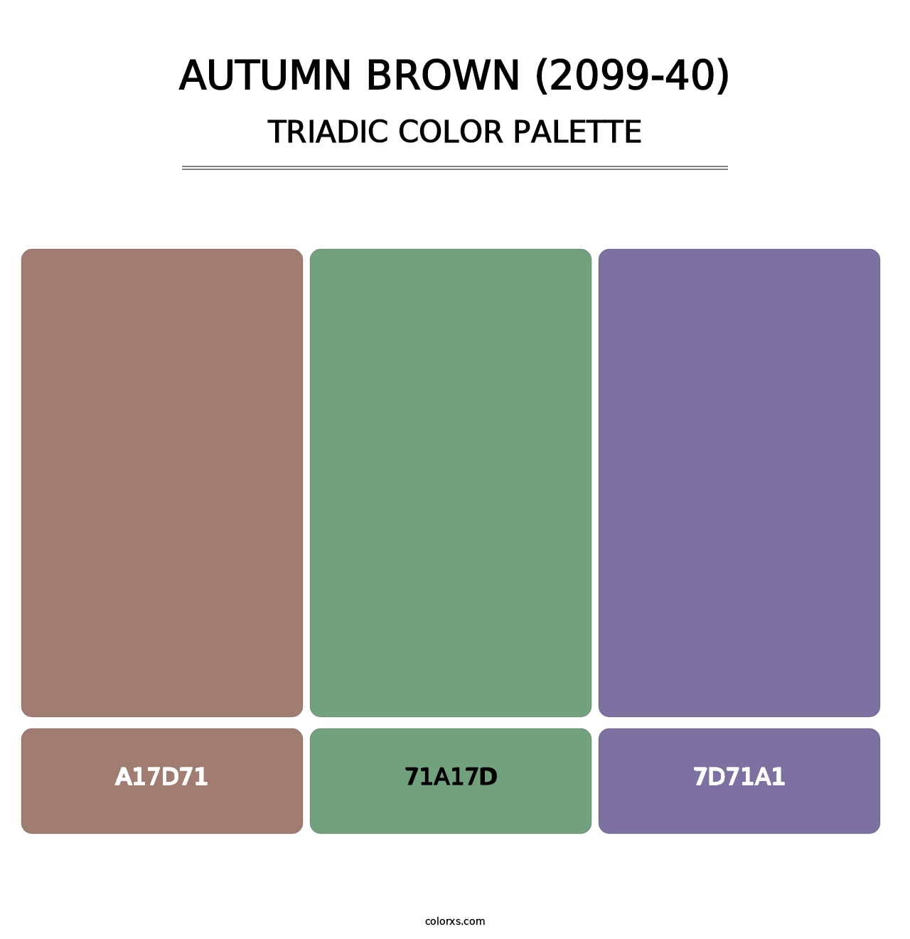 Autumn Brown (2099-40) - Triadic Color Palette