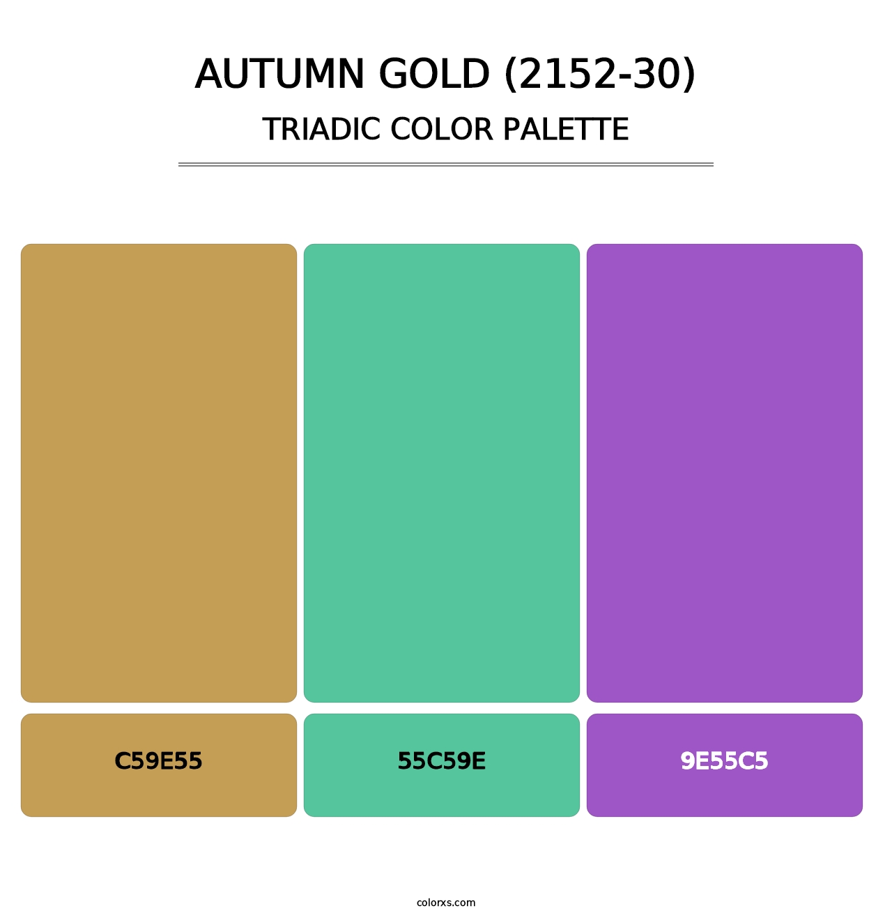 Autumn Gold (2152-30) - Triadic Color Palette