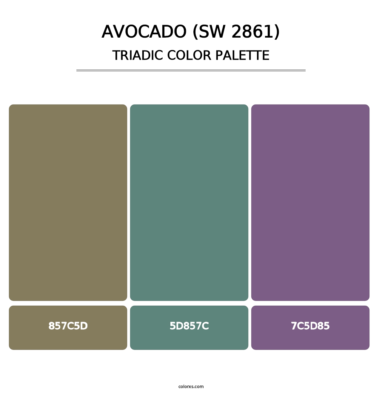 Avocado (SW 2861) - Triadic Color Palette