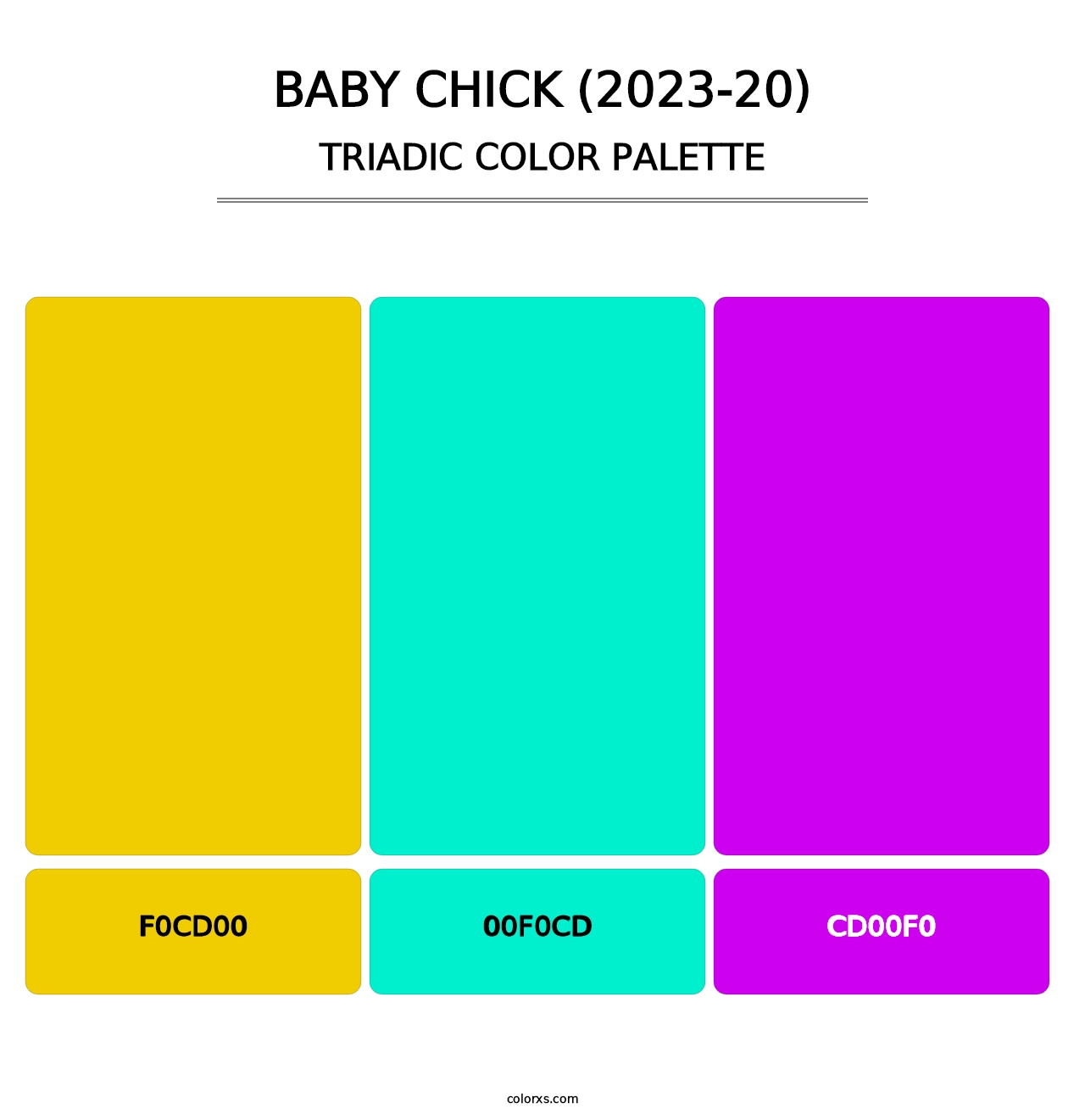 Baby Chick (2023-20) - Triadic Color Palette
