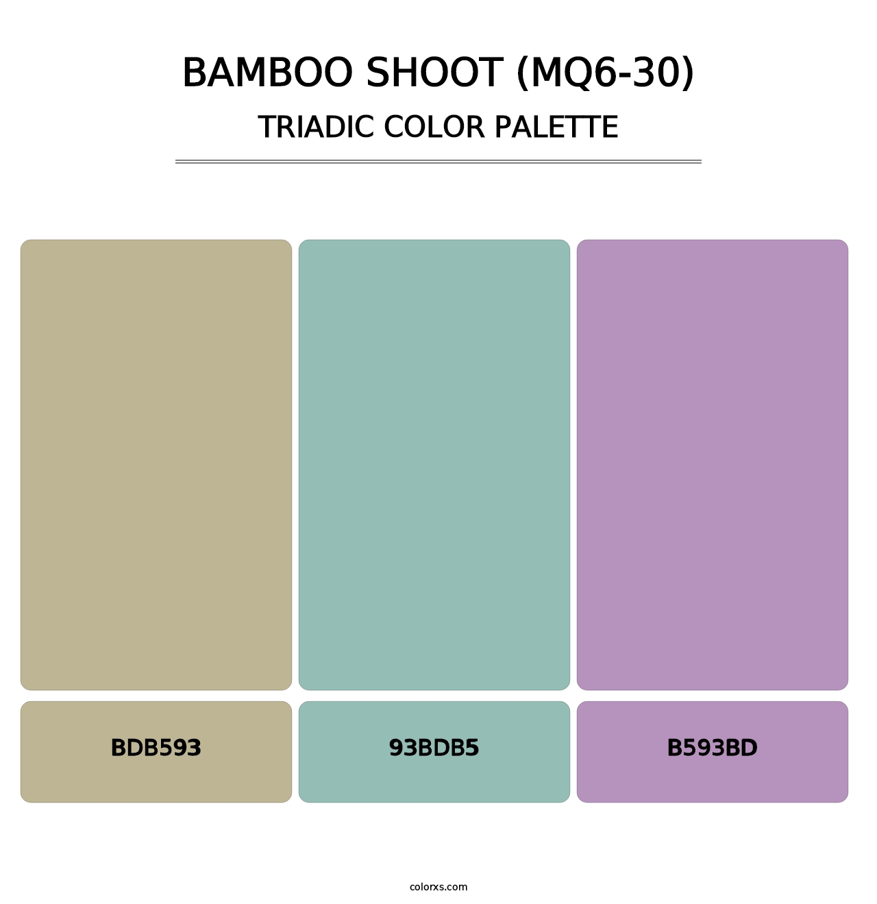 Bamboo Shoot (MQ6-30) - Triadic Color Palette