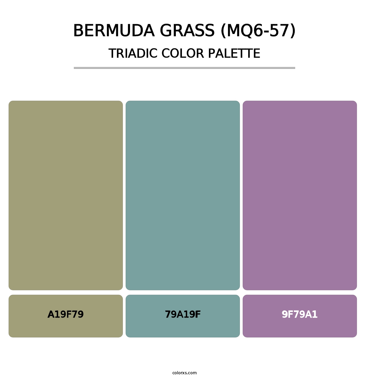 Bermuda Grass (MQ6-57) - Triadic Color Palette