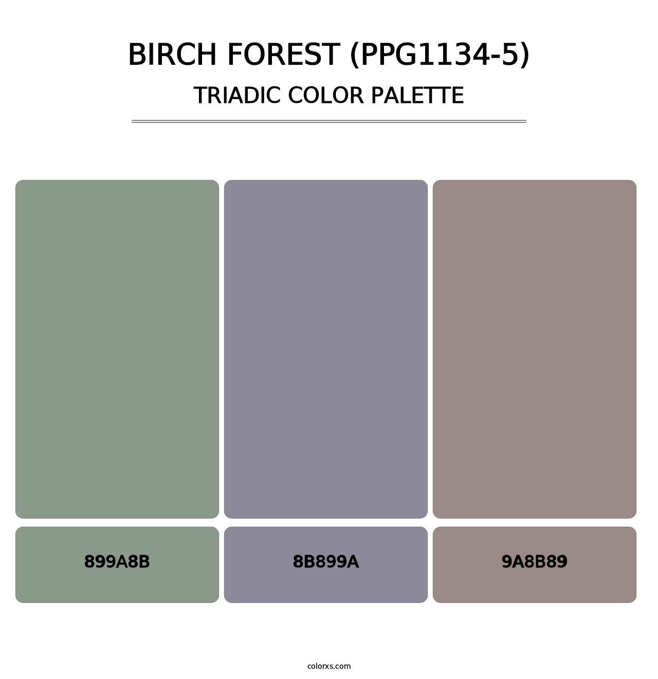 Birch Forest (PPG1134-5) - Triadic Color Palette