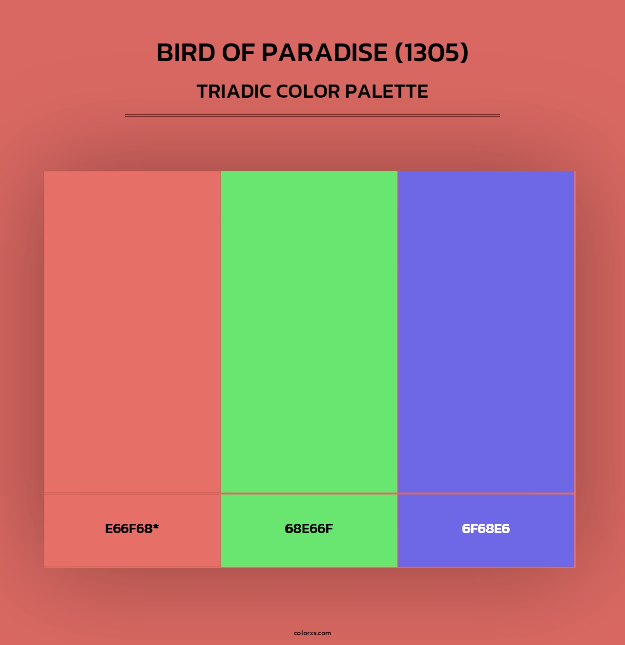 Bird of Paradise (1305) - Triadic Color Palette
