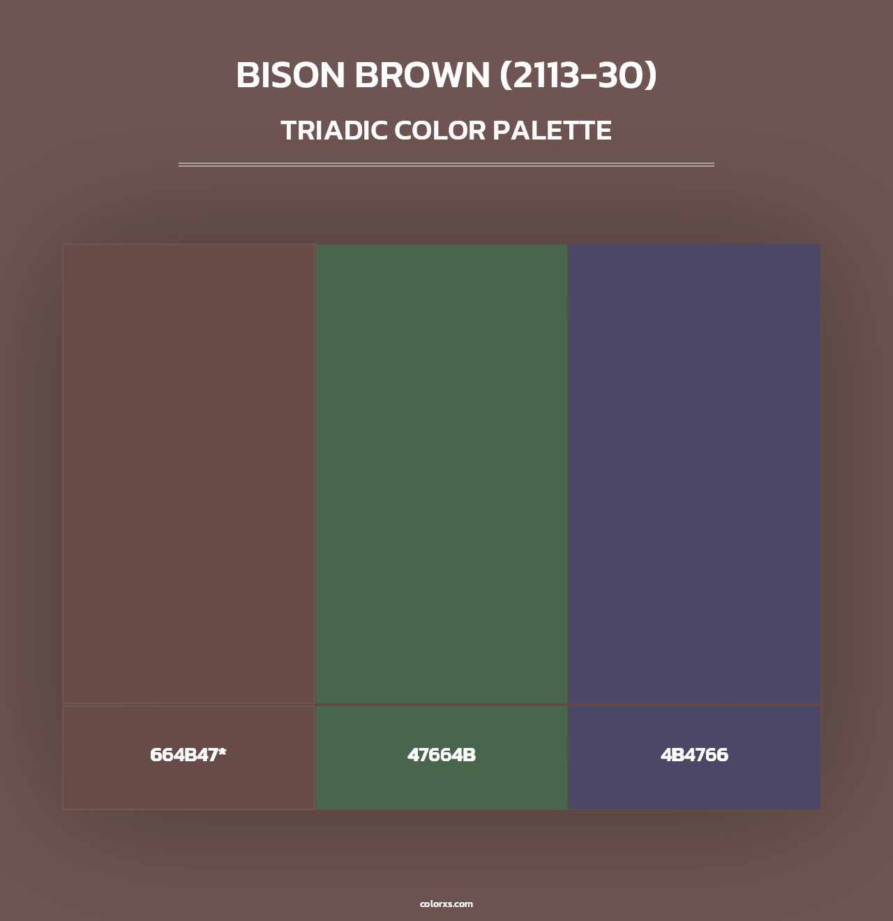 Bison Brown (2113-30) - Triadic Color Palette
