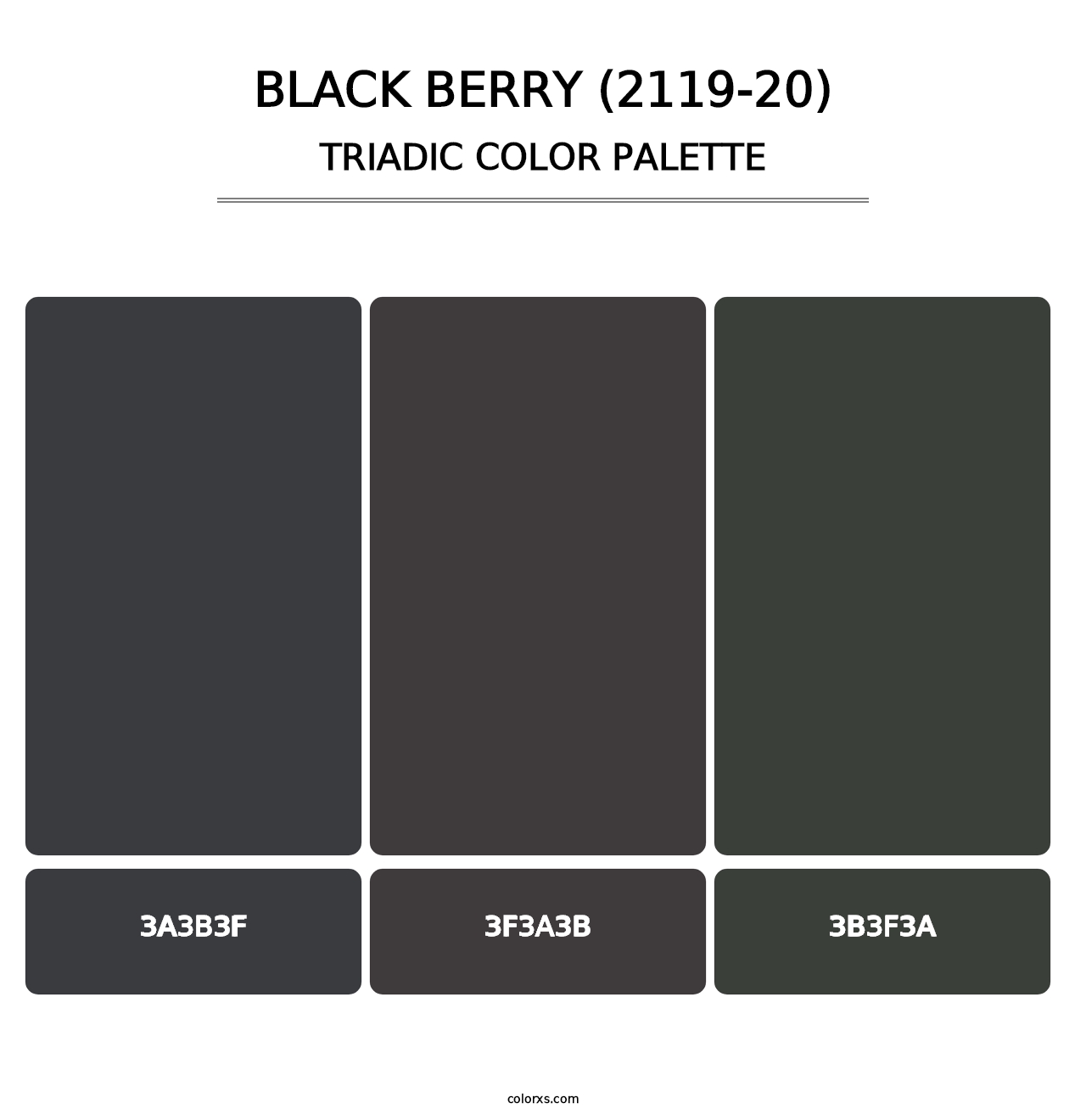 Black Berry (2119-20) - Triadic Color Palette